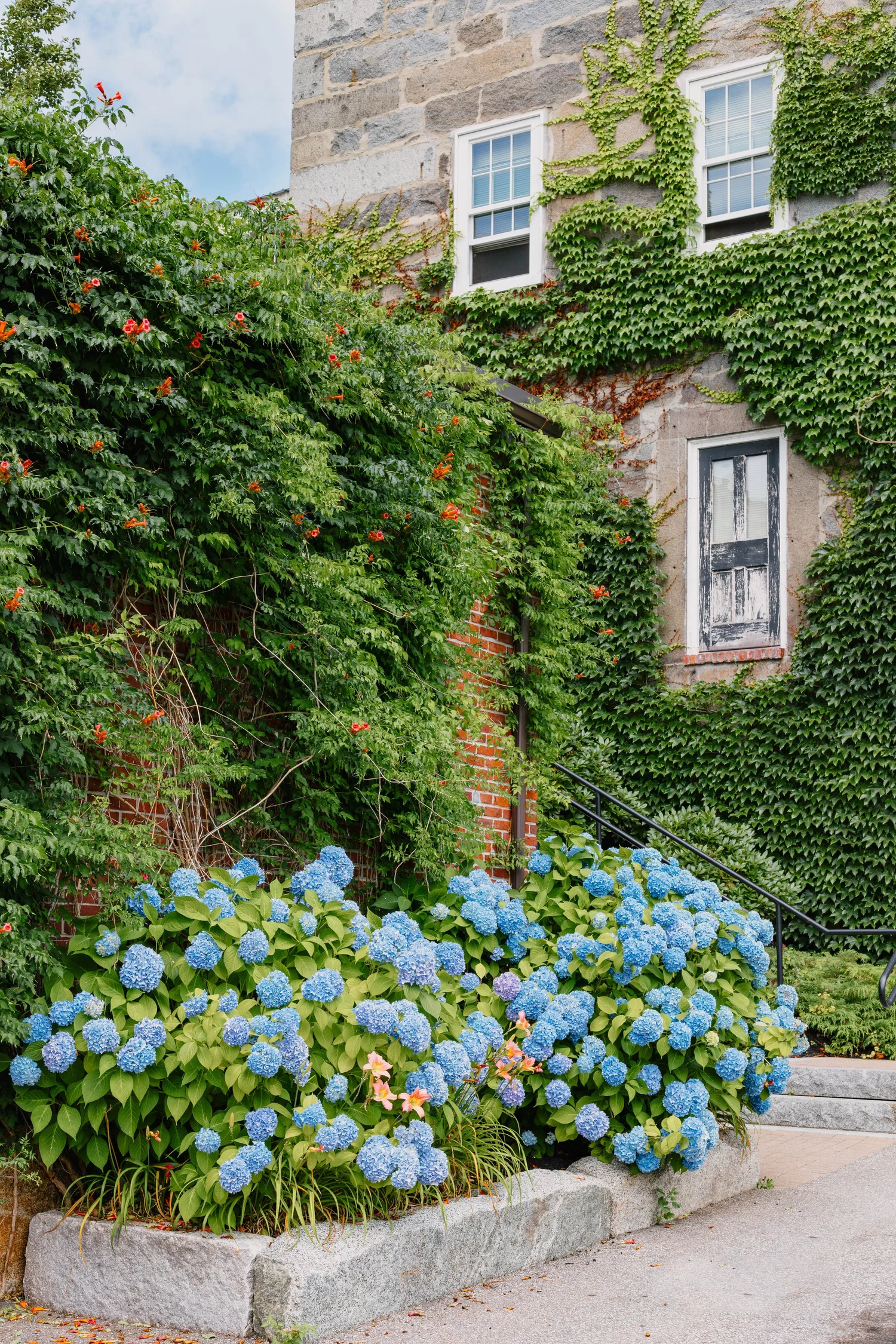 Canvas Creator Studio