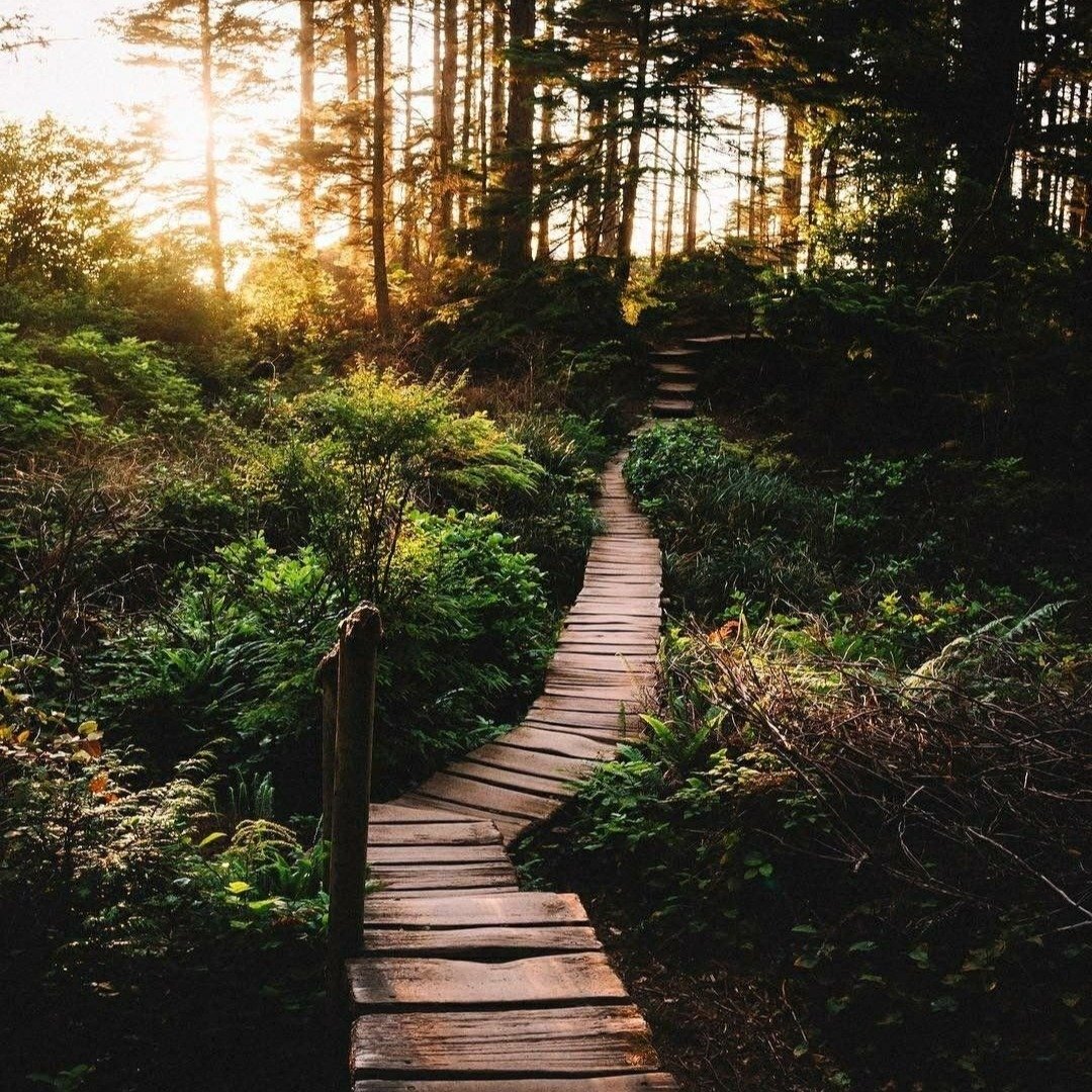 The holiday season can be an overwhelming time for many. 

Here are some practical ways to manage feelings of pressure and stress: 
✨ Say no - don't fill your calendar! Protect your peace. 
✨ Practice gratitude - count your blessings! 
✨ Set realisti