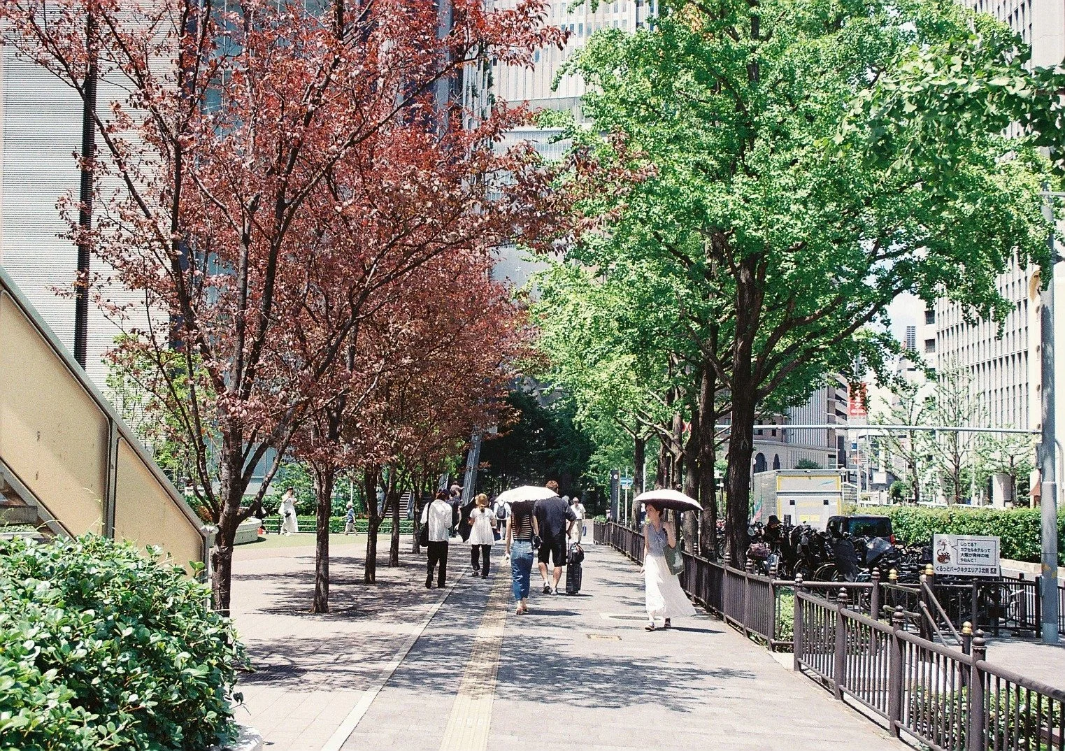 木の村 Village of Trees