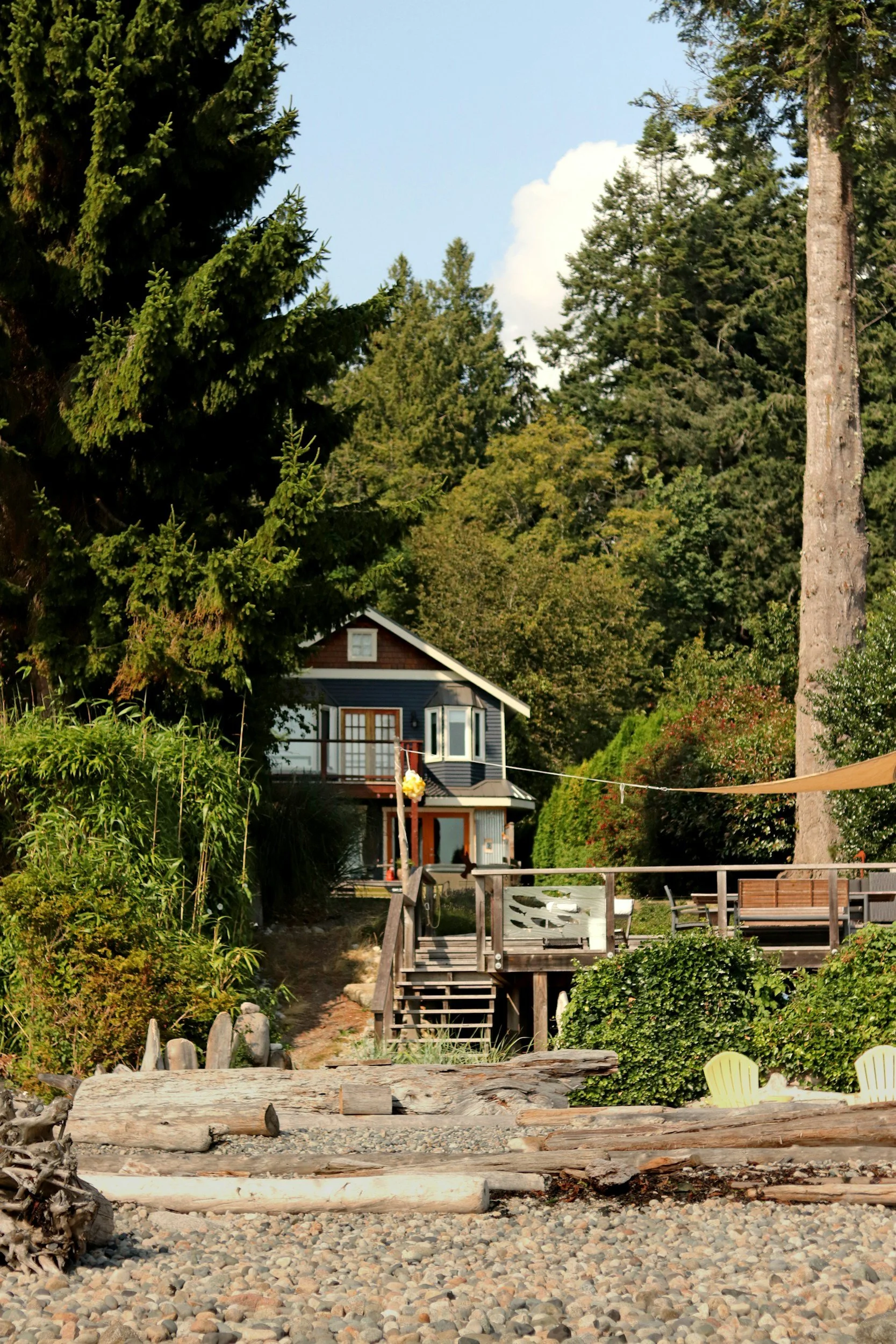 Trapped at the Cottage