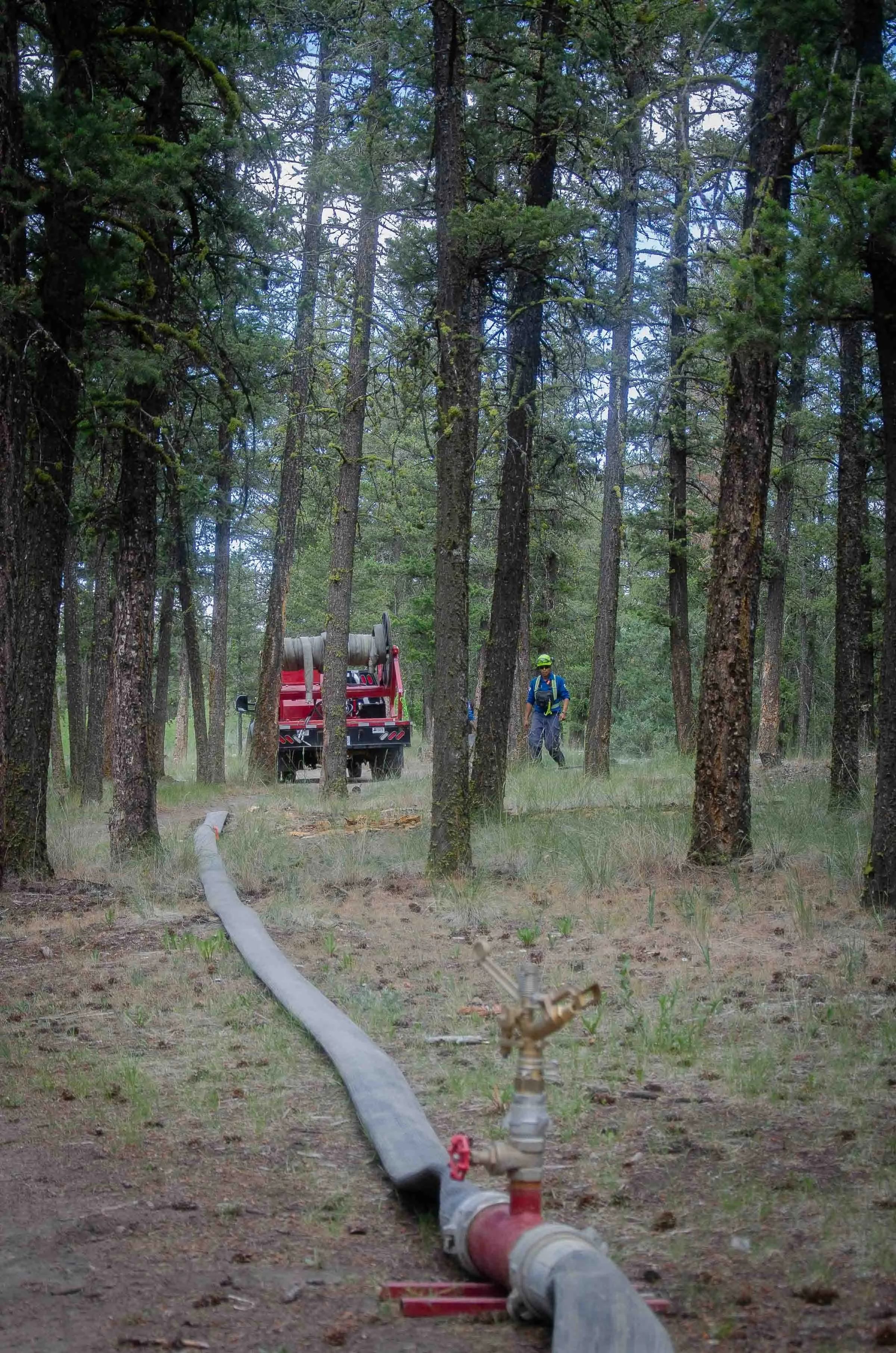 DSC_5271.jpg