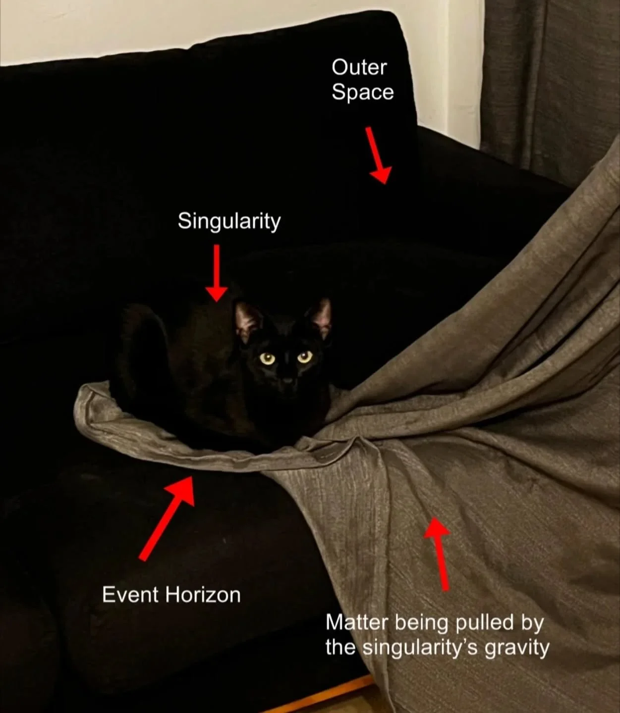 Black holes: every schoolchild's favorite space topic, and a MARS Planetarium specialty. Book your school's journey to infinity today! 
#blackhole #space #spacememes #planetarium #astronomymemes