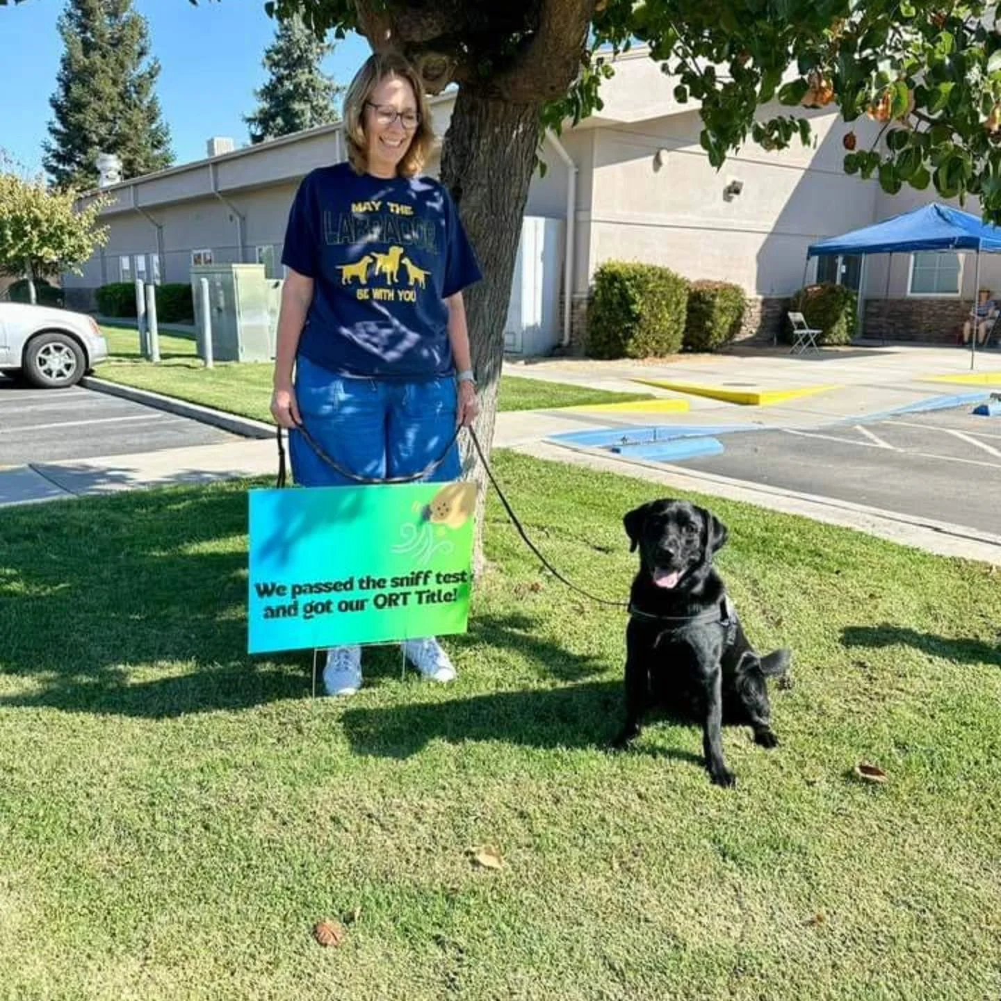 Bayside Labs Slippery Over the Rocks.  Rocky passed his NACSW ORT (Odor Recognition Test) today in Turlock. So proud of this boy!!