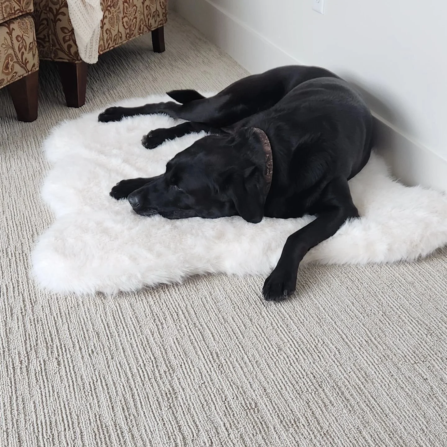 &quot;Cargo&quot; always a pleasure to be around.