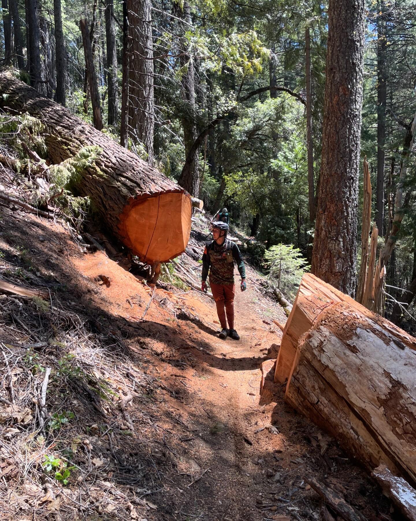 Great day and conditions for some early D-Ville goods! Fiddle-Halls-St. Charles. Found the snow, crossed some creeks, did a lot of climbing, and enjoyed the Sierra in all its spring glory ✌️ Thanks for the ride @doctorpritchett @anth0ny.pritchett