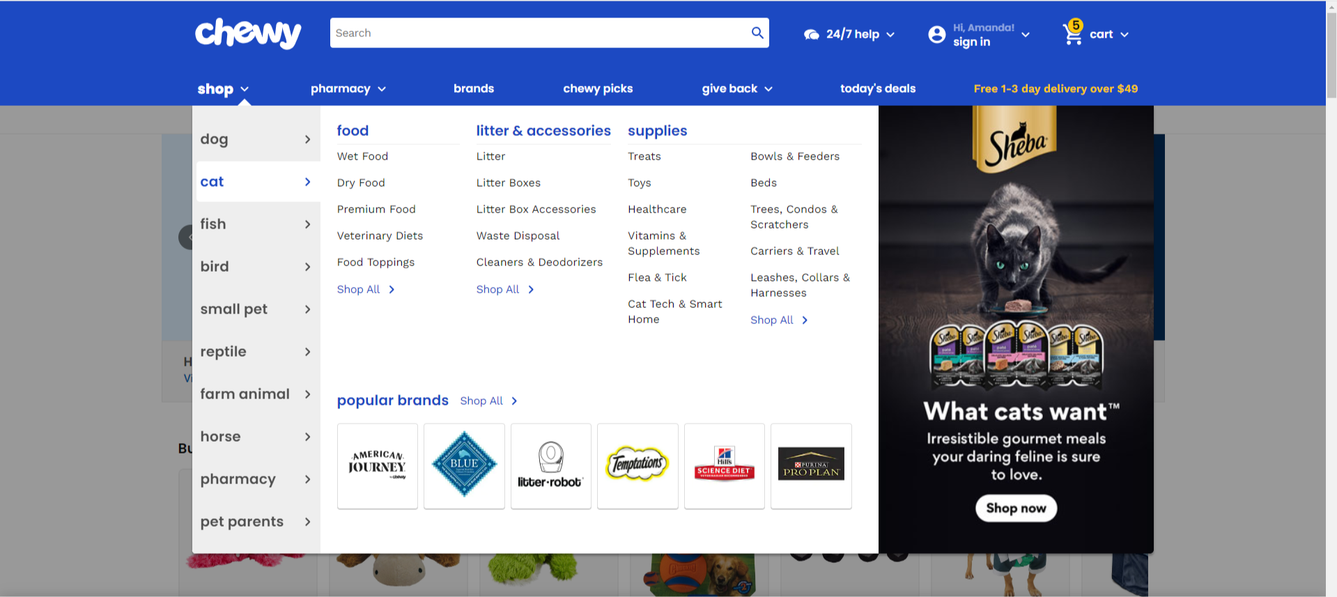 Chewy Partnership Marketing + Merchandising