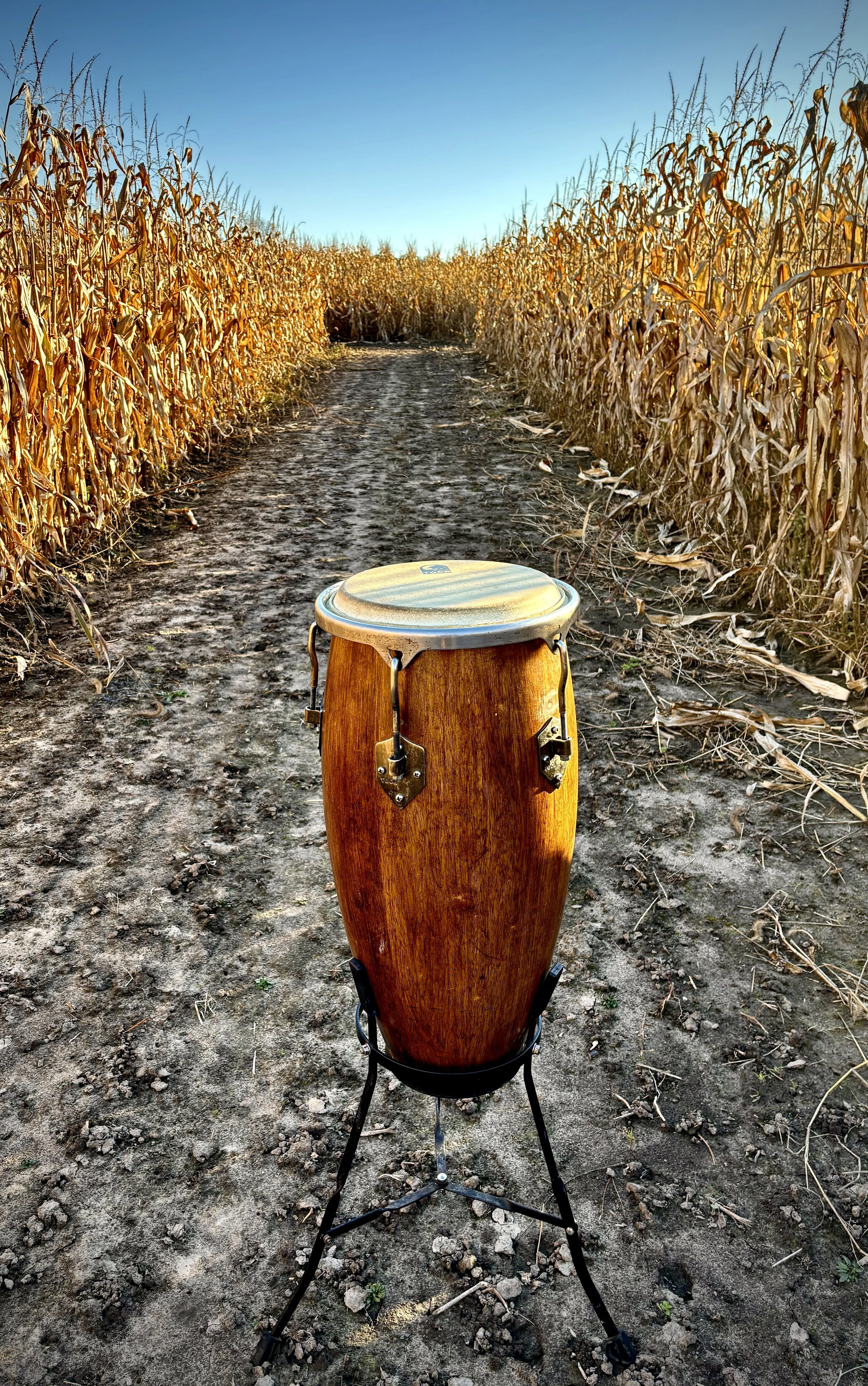 The Drum Circle