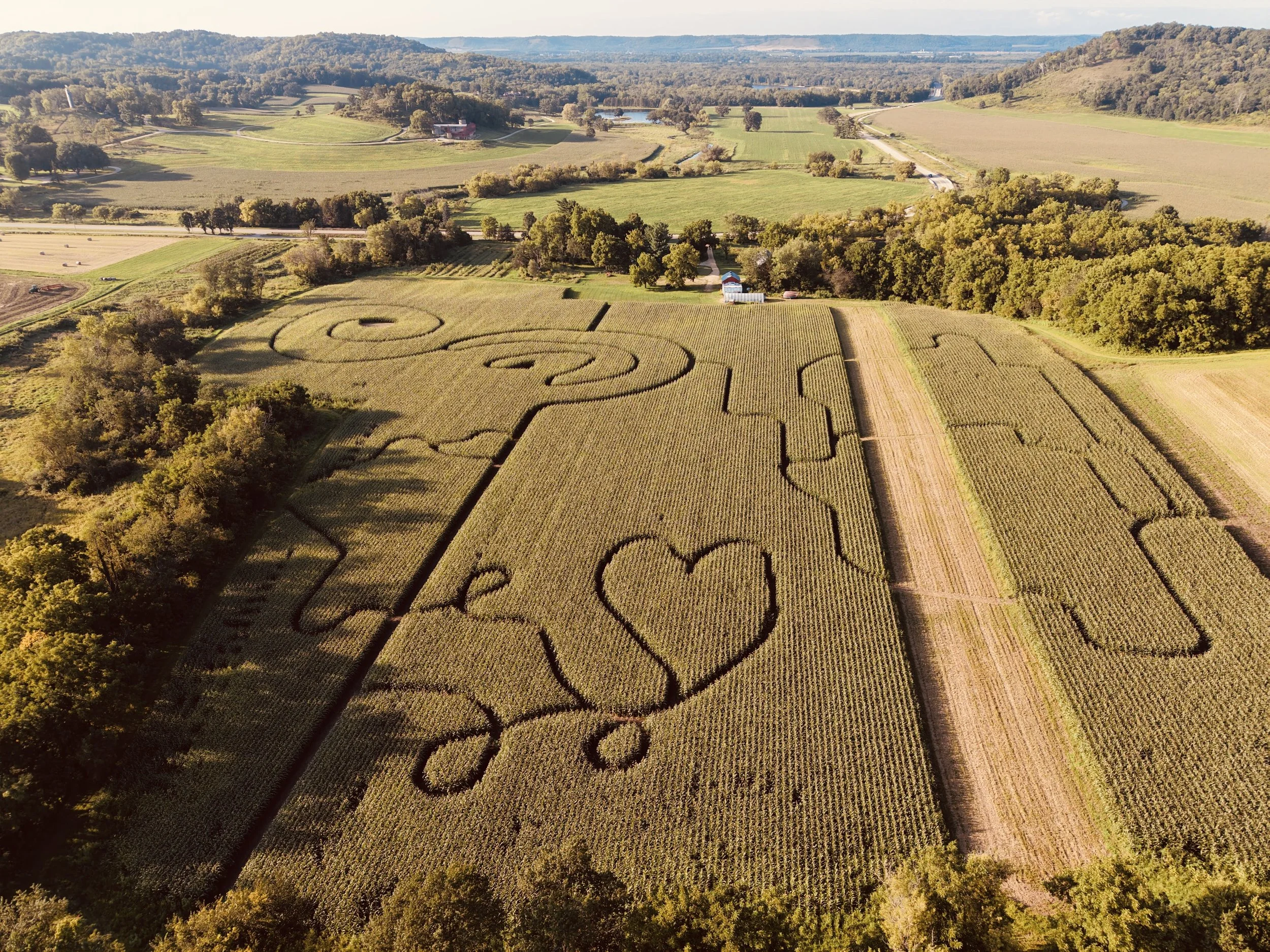 How Do You Make a Corn Maze?