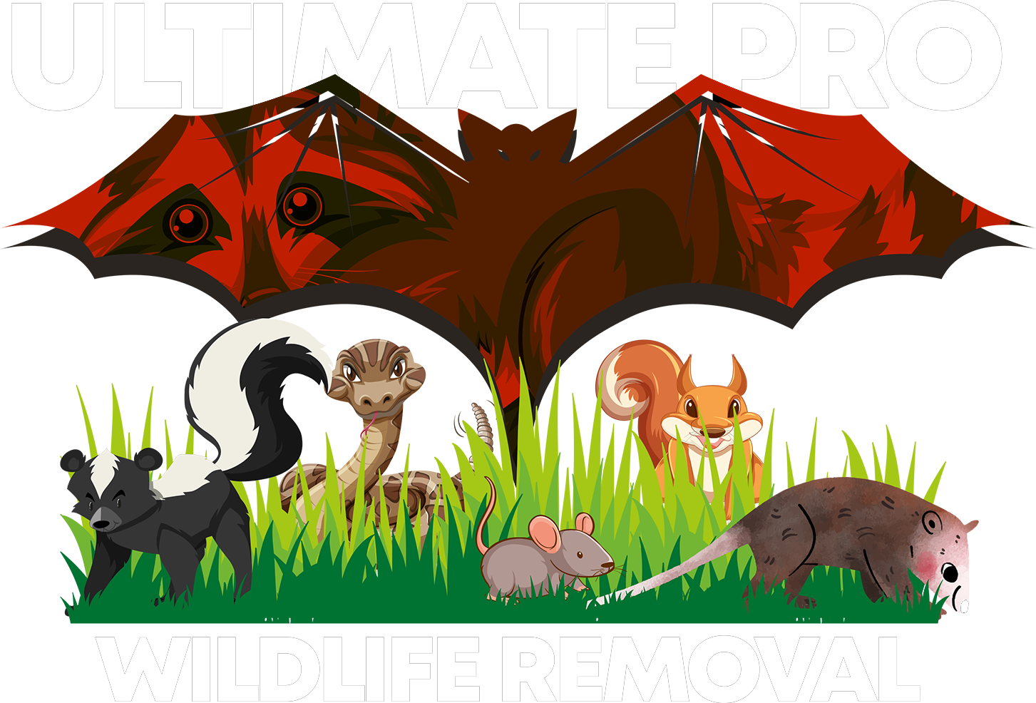 ULTIMATE PRO WILDLIFE REMOVAL 