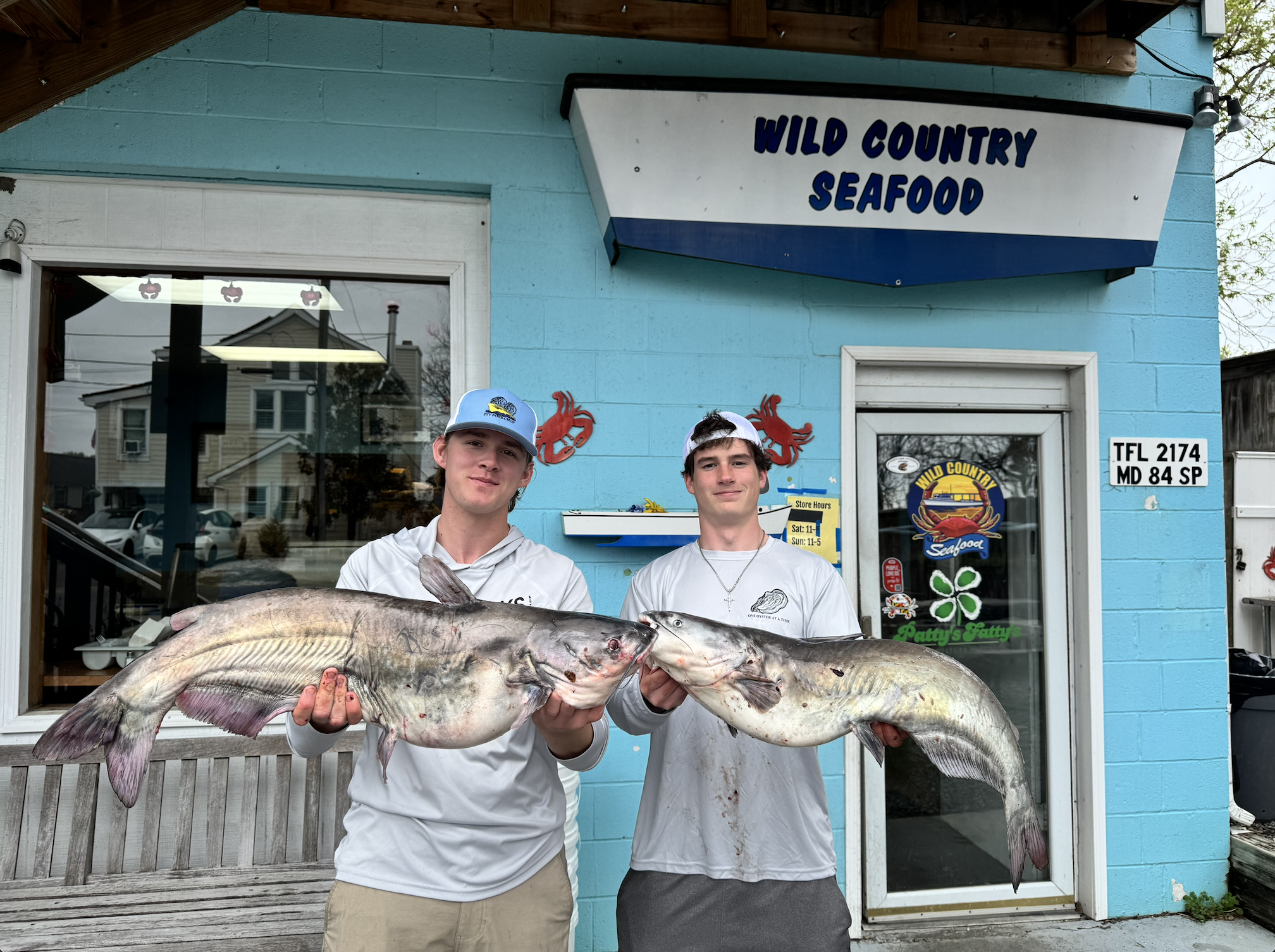 Invasive Blue Catfish