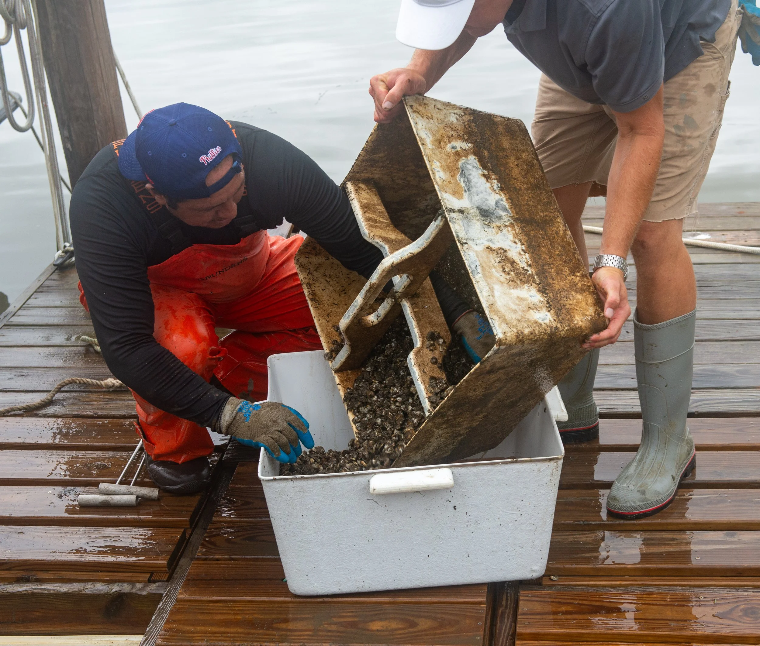 Sorting and cleaning seed in the Upweller system