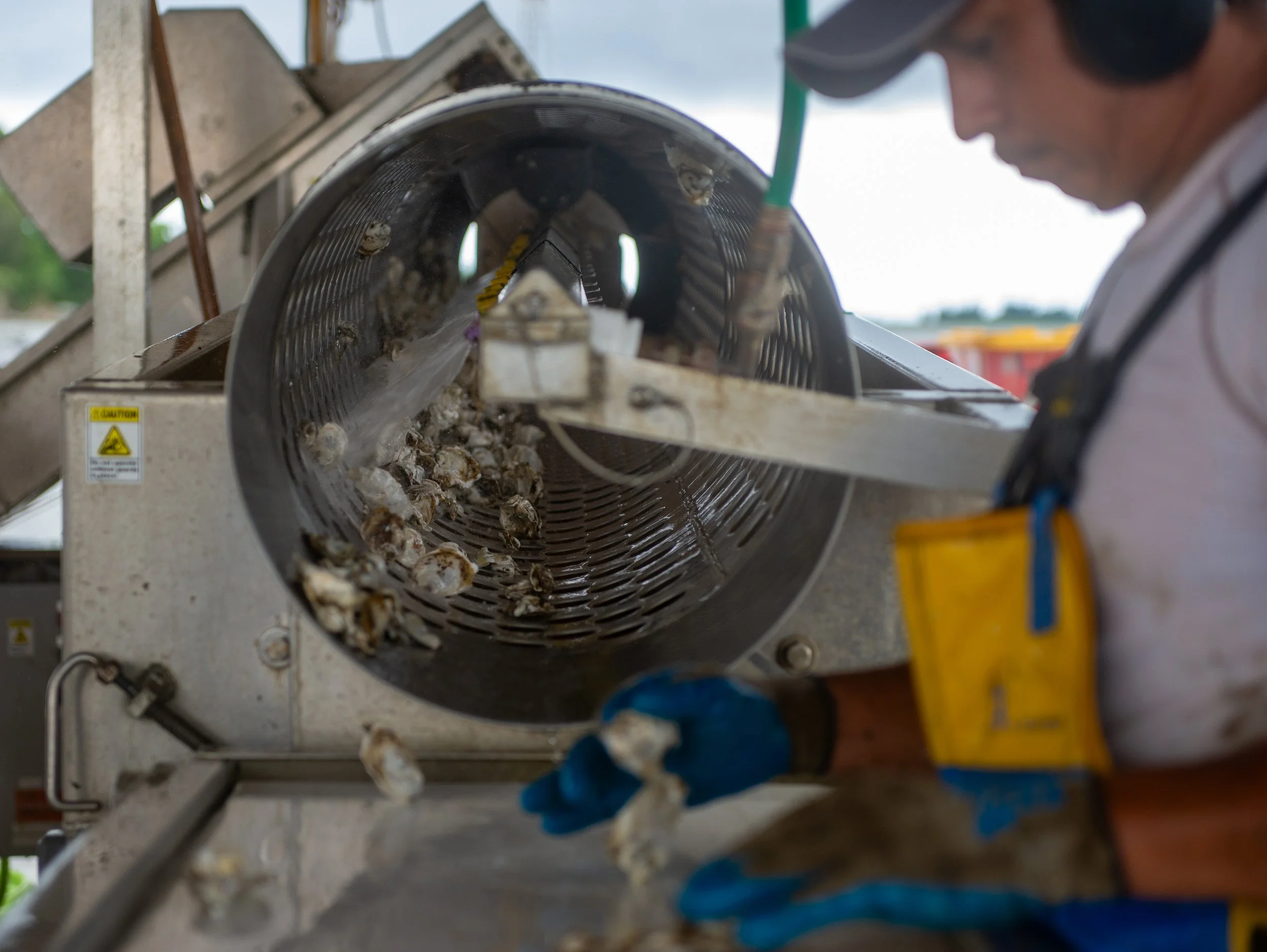 This tumbler has different sized holes that allow the oysters to be sorted by size. It also chips off any new growth, this forces the oyster to grow deeper rather than wider.