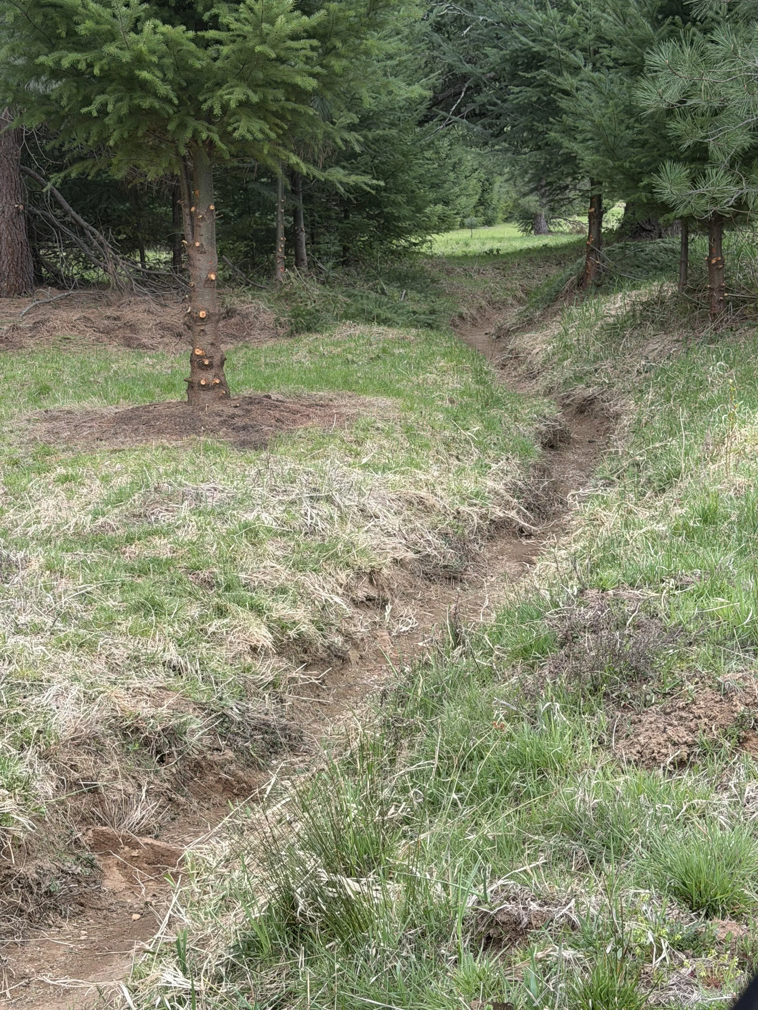 What’s the dirt on the ditch?