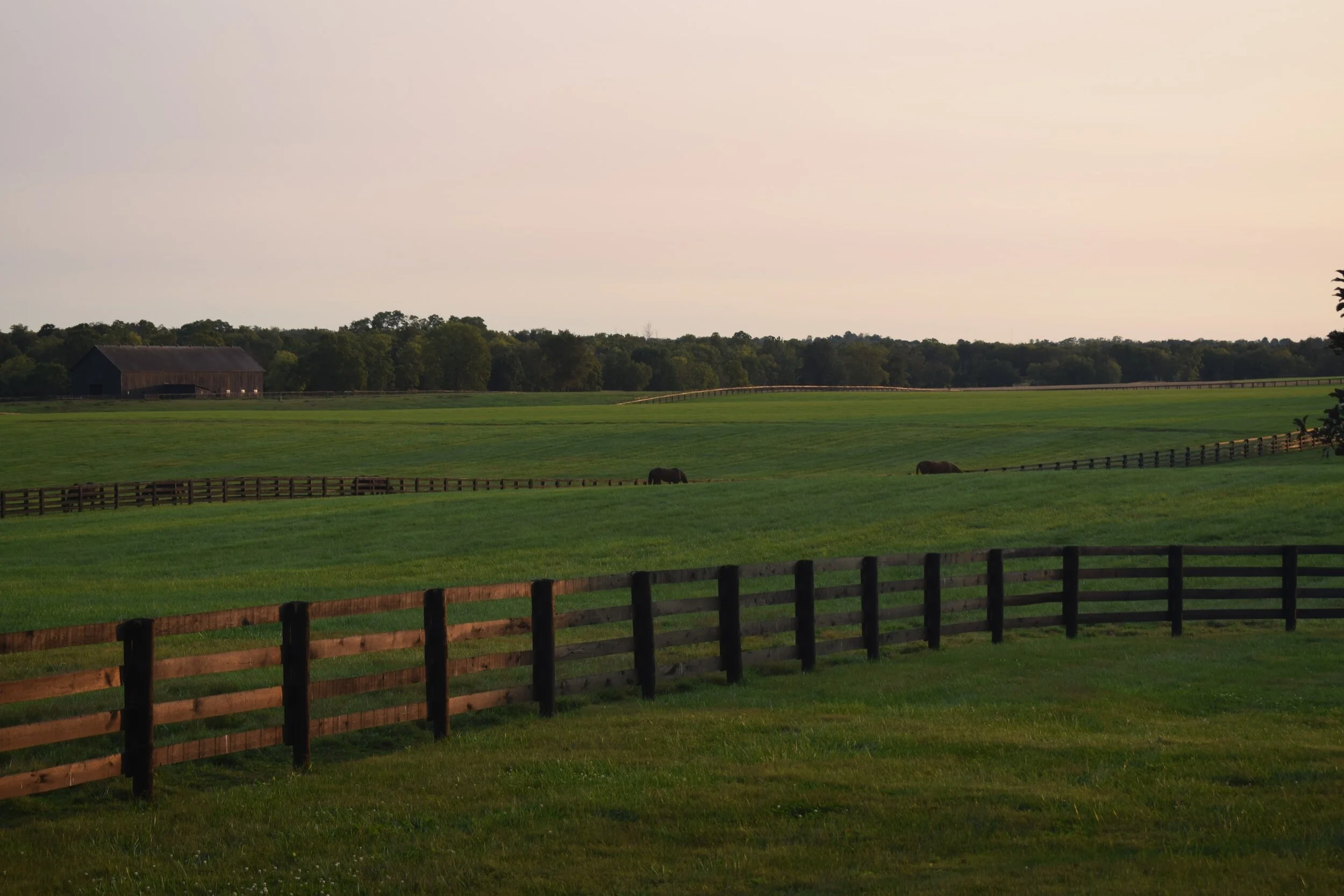 image-asset.jpeg?format=2500w