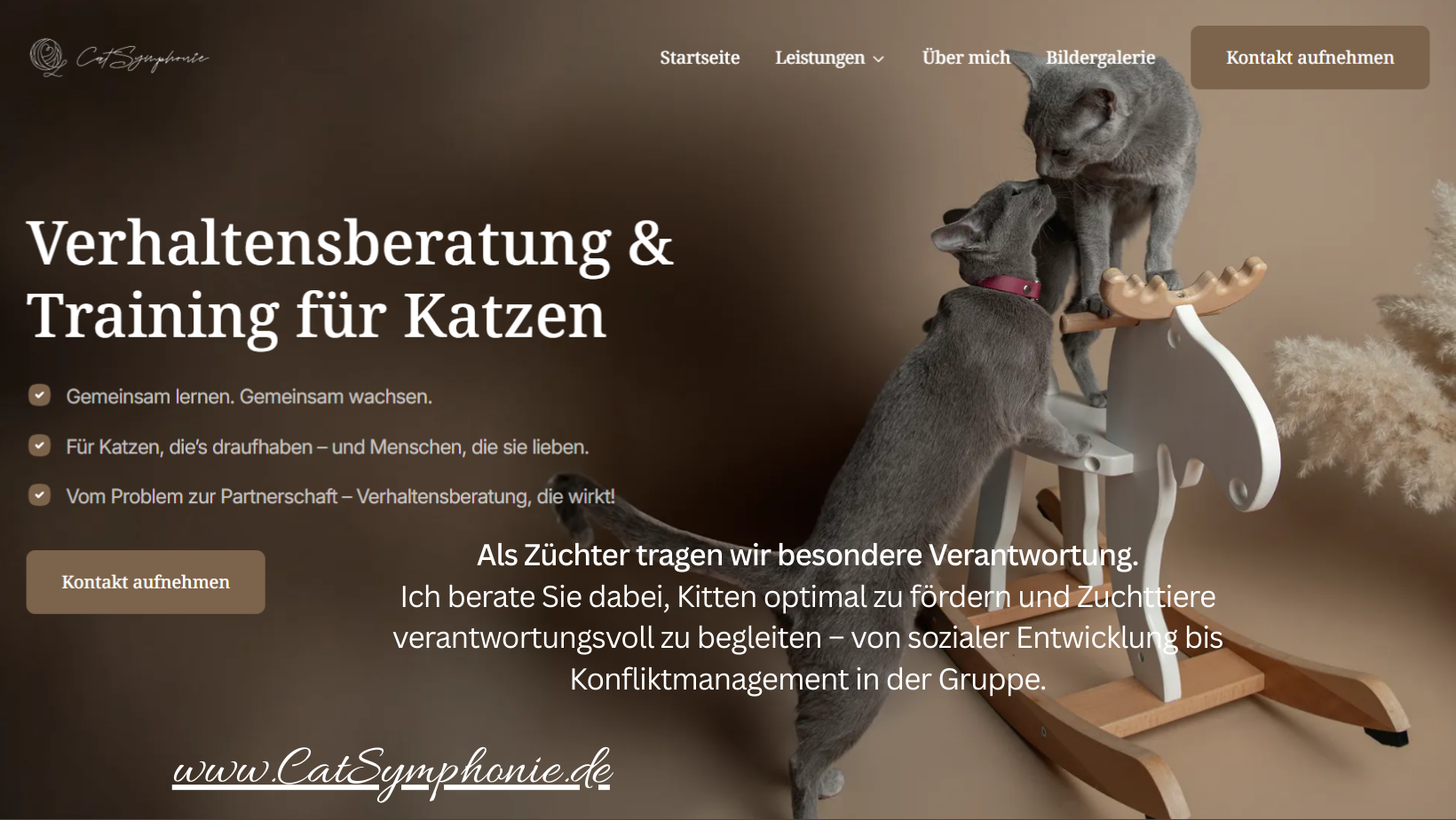 Russisch Blau Züchter. Verhaltensberatung & Training Katze