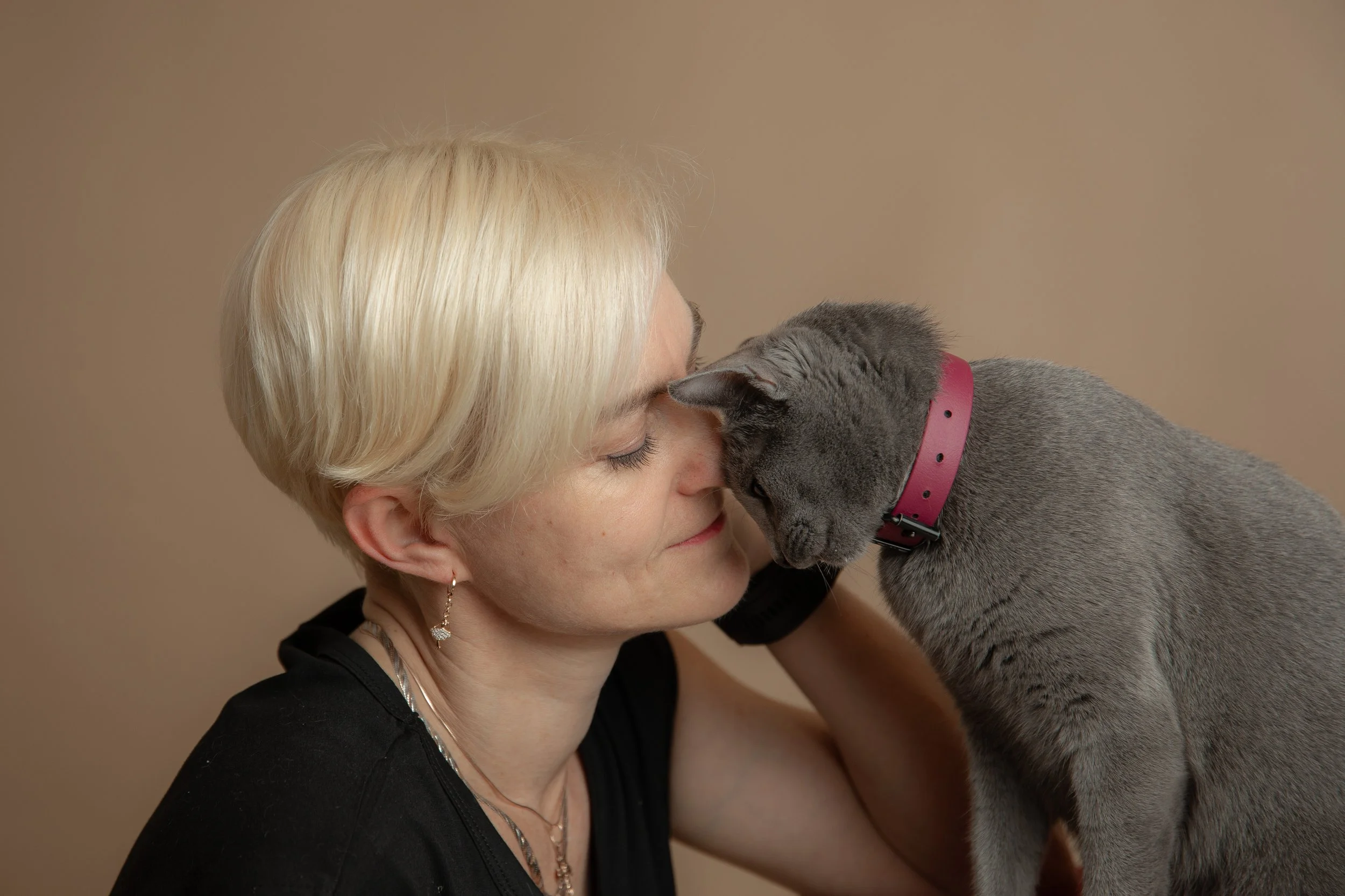 russisch blau Katze kaufen,  Züchter bayern. Verhaltensberatung & Training Katze