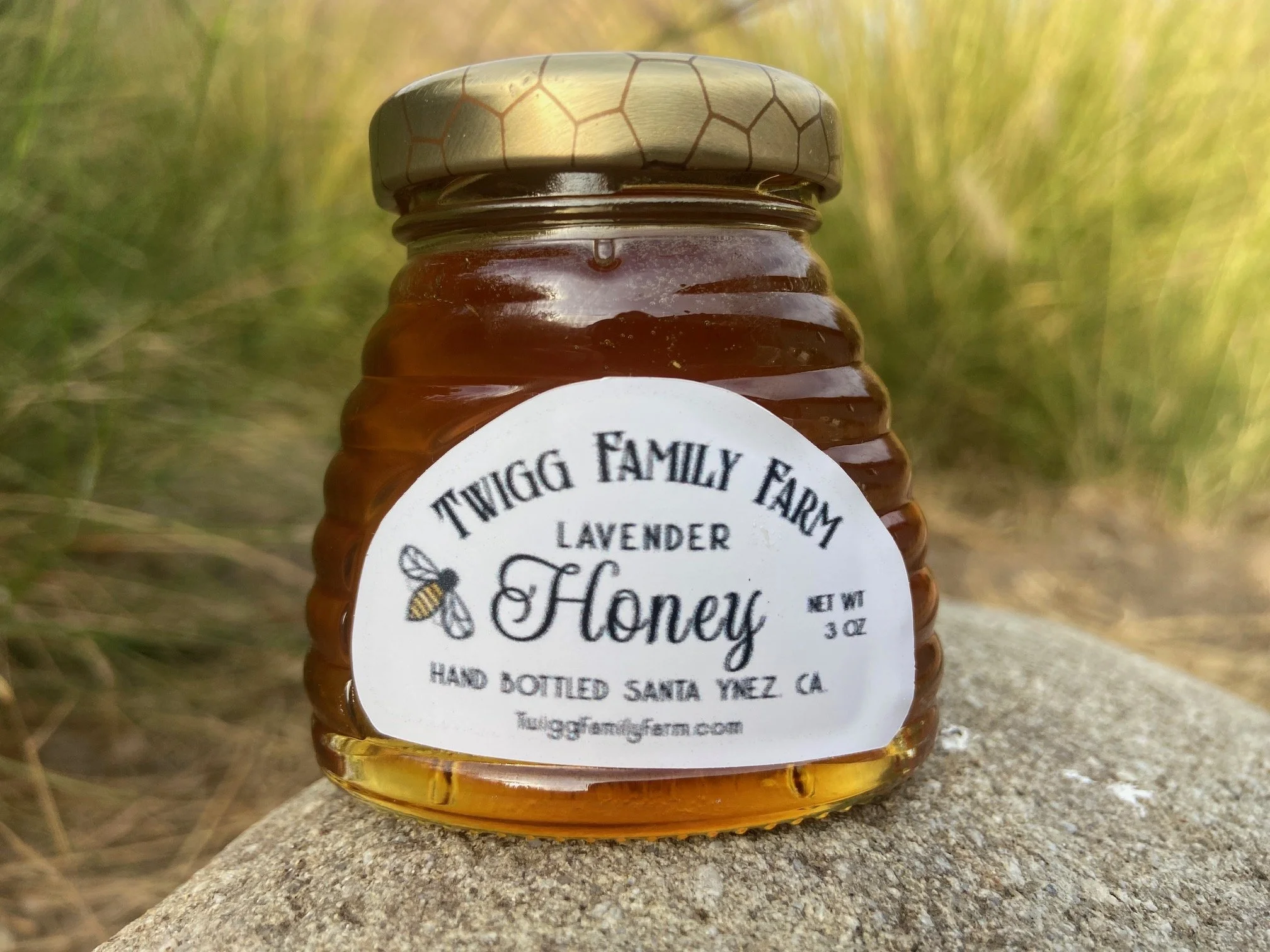 Honey on rock.jpeg