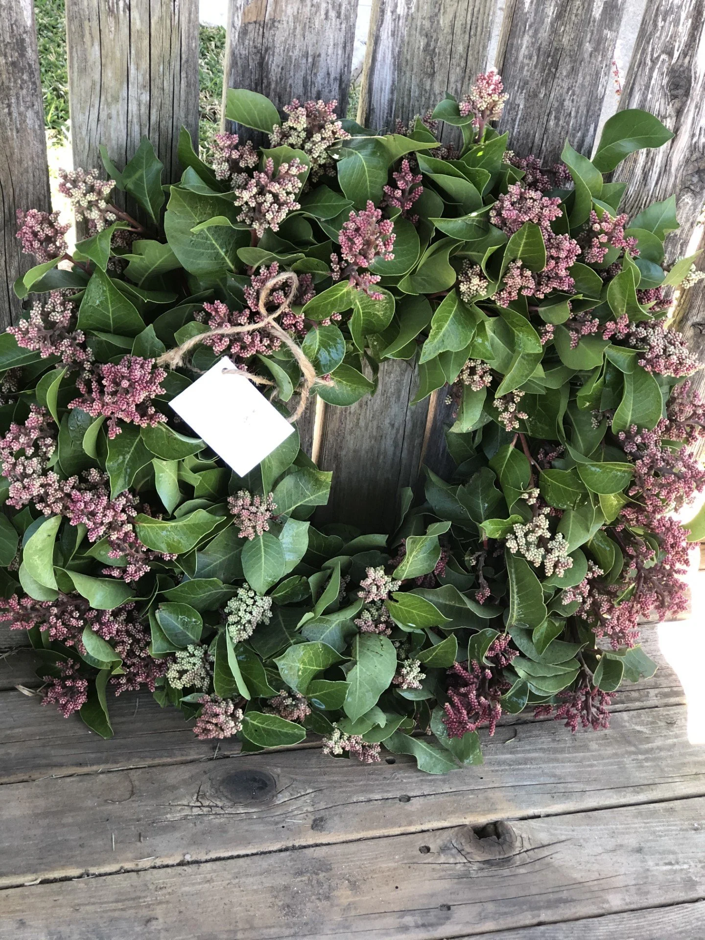 FRESH CA Native Sumac Wreath