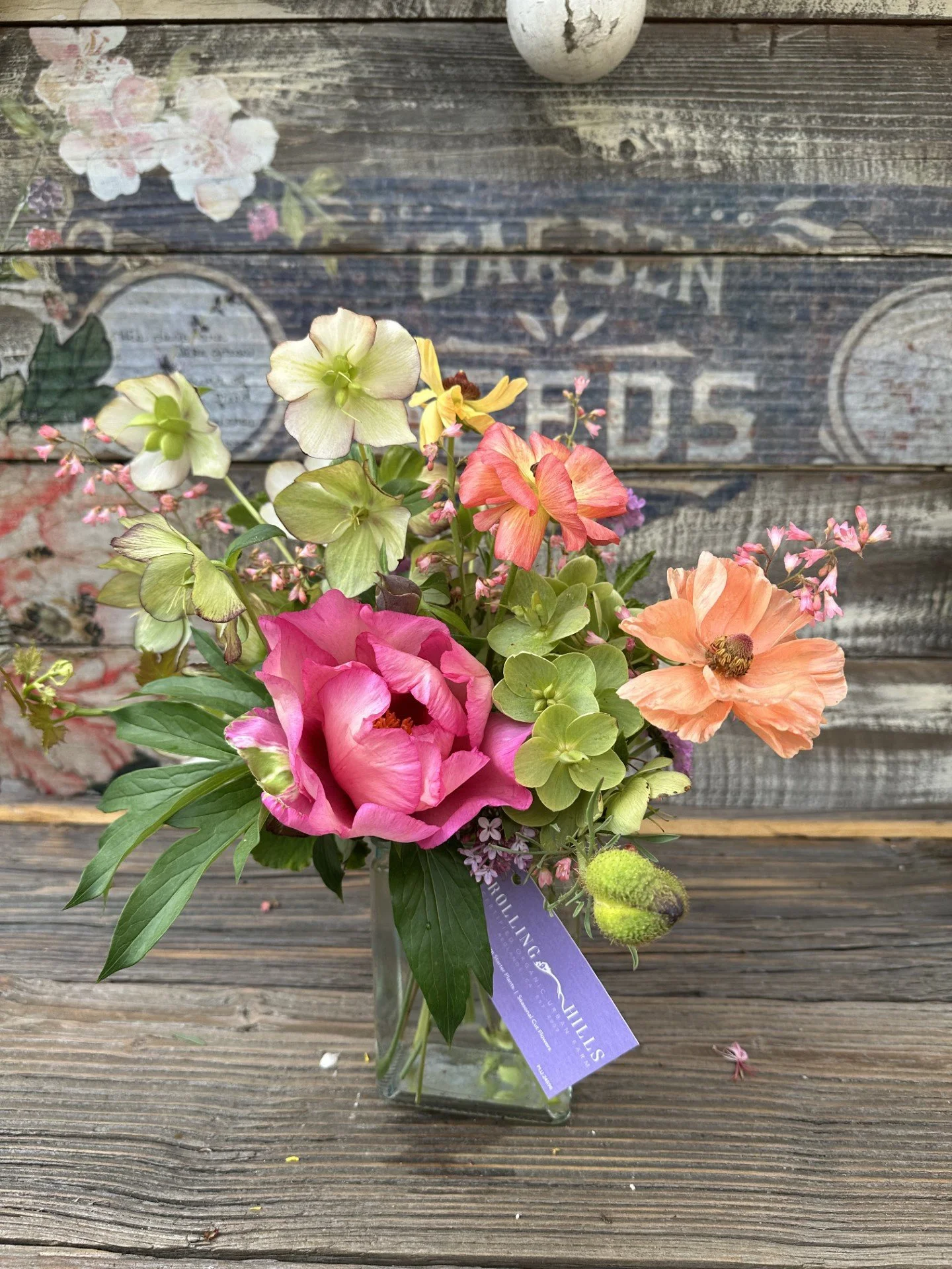 coral peony.jpeg