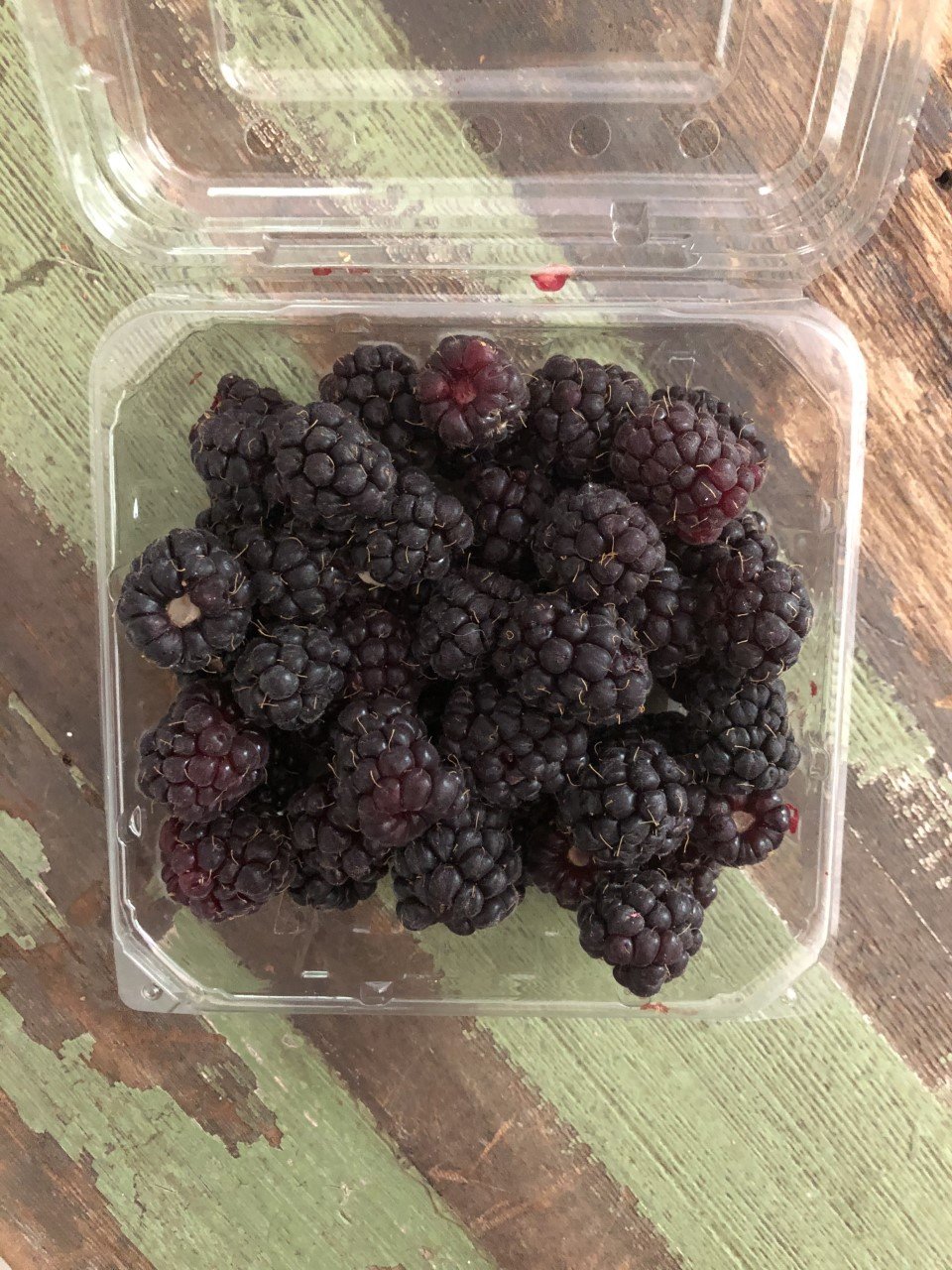 boysenberry.jpeg