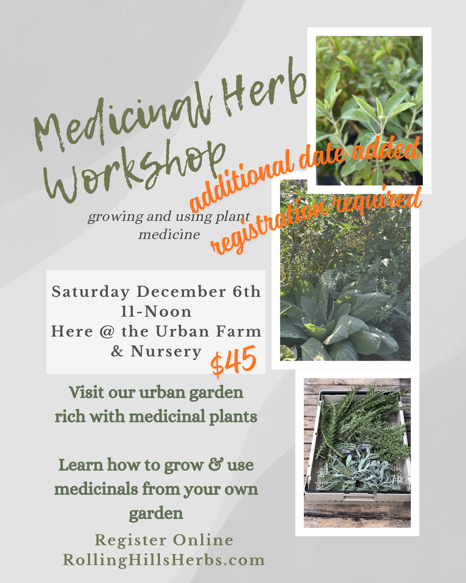 Medicinal Herb Workshop (6).png