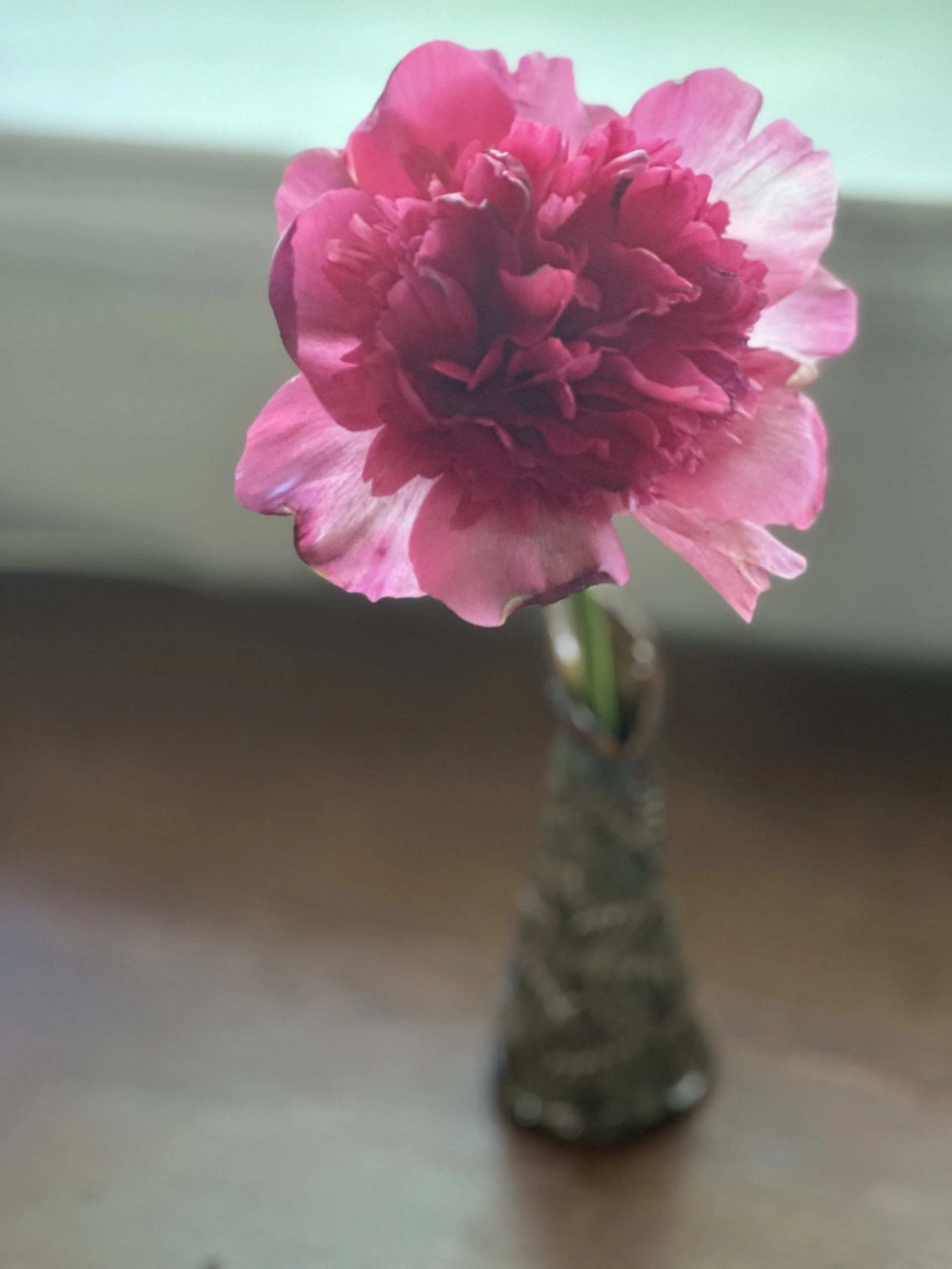 peony.jpeg