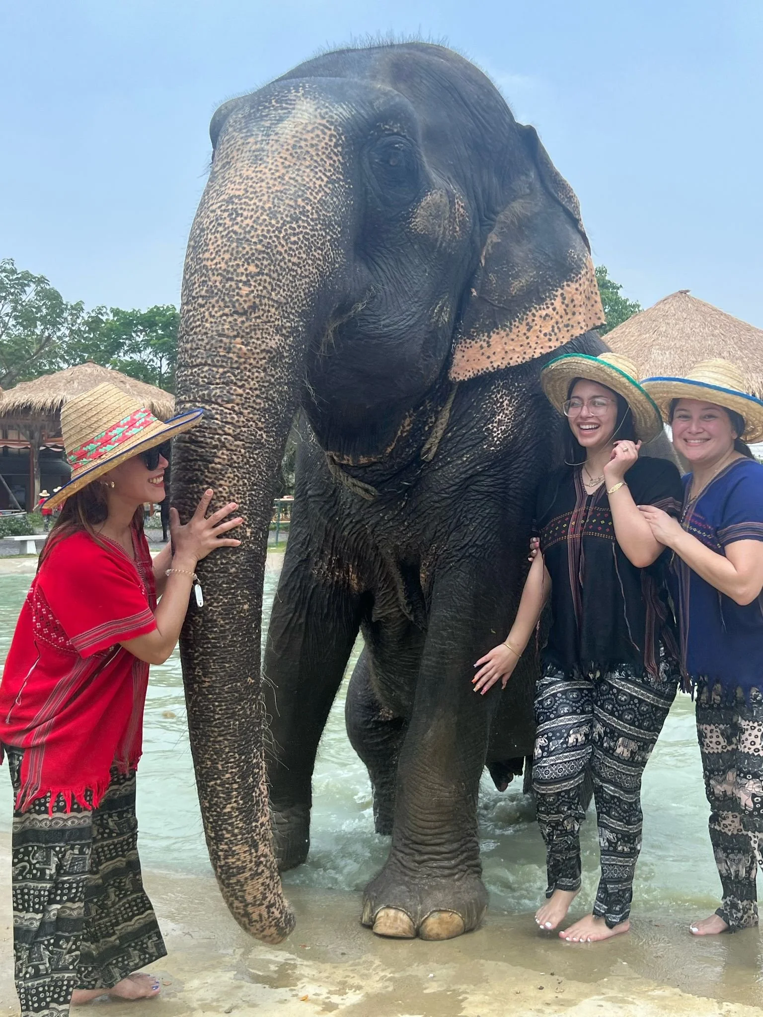 Three women standing in water with an elephant. The women are smiling and wearing wide-brimmed hats and patterned pants. The elephant is large, with a textured trunk, and appears to be smiling.