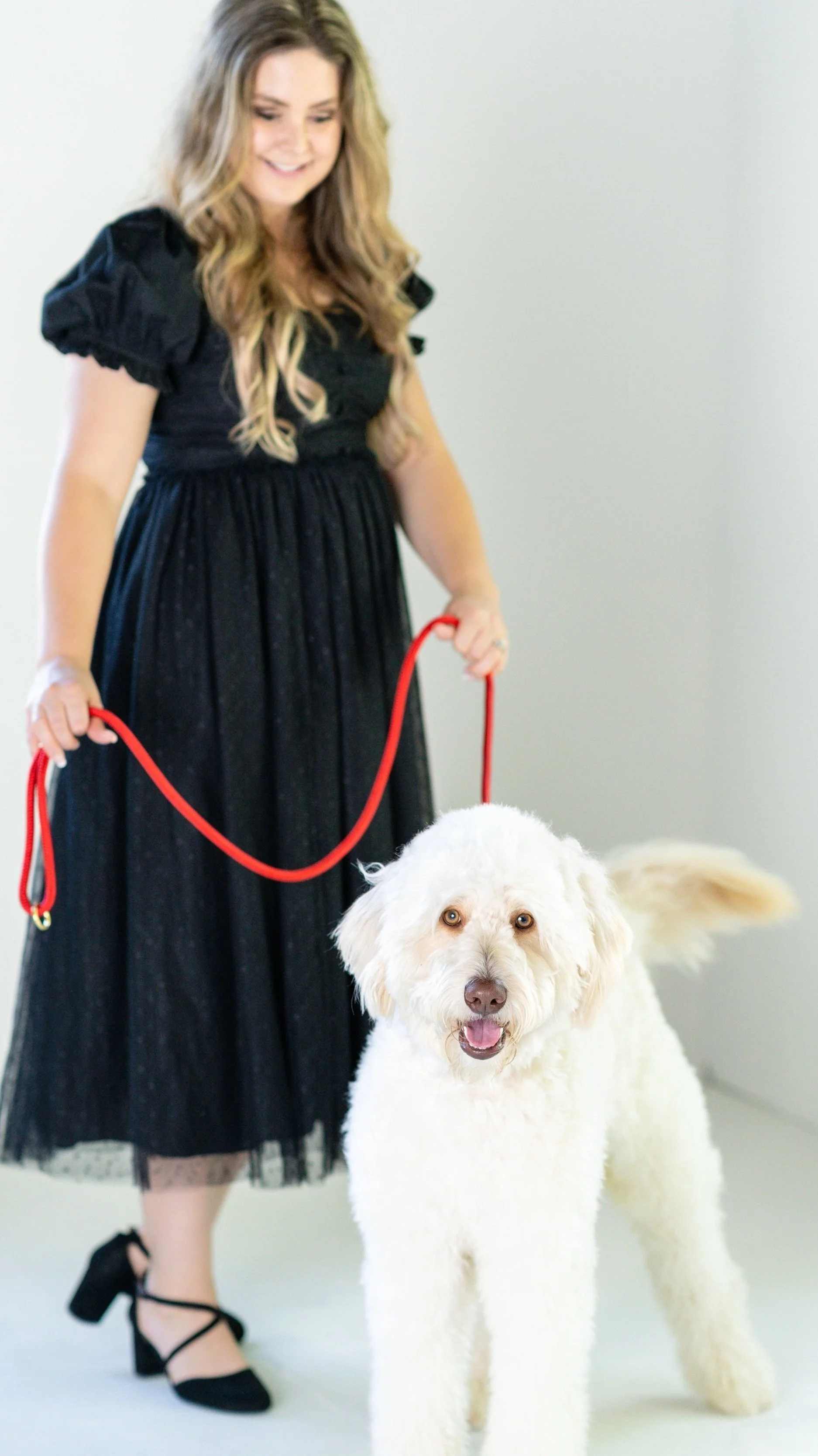 22-231023 Roseville dogs.jpg