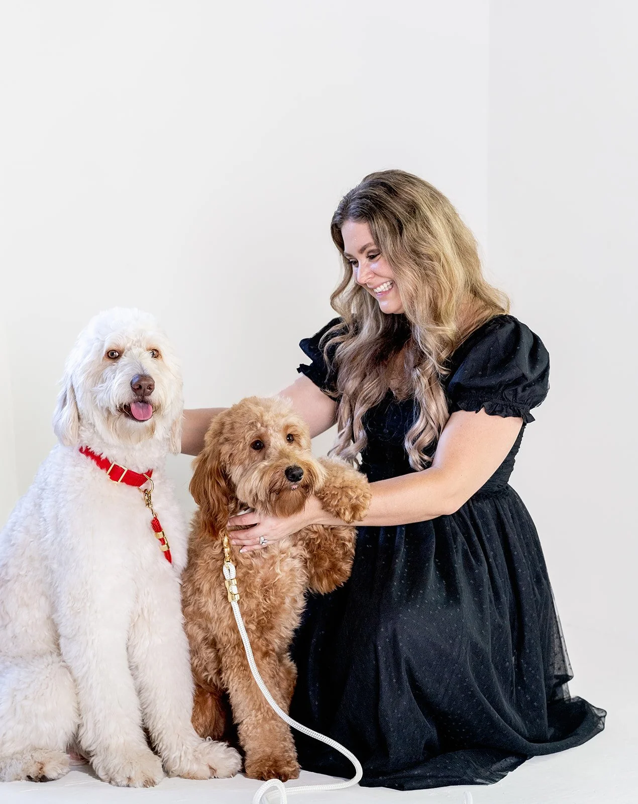 17-231023 Roseville dogs.jpg