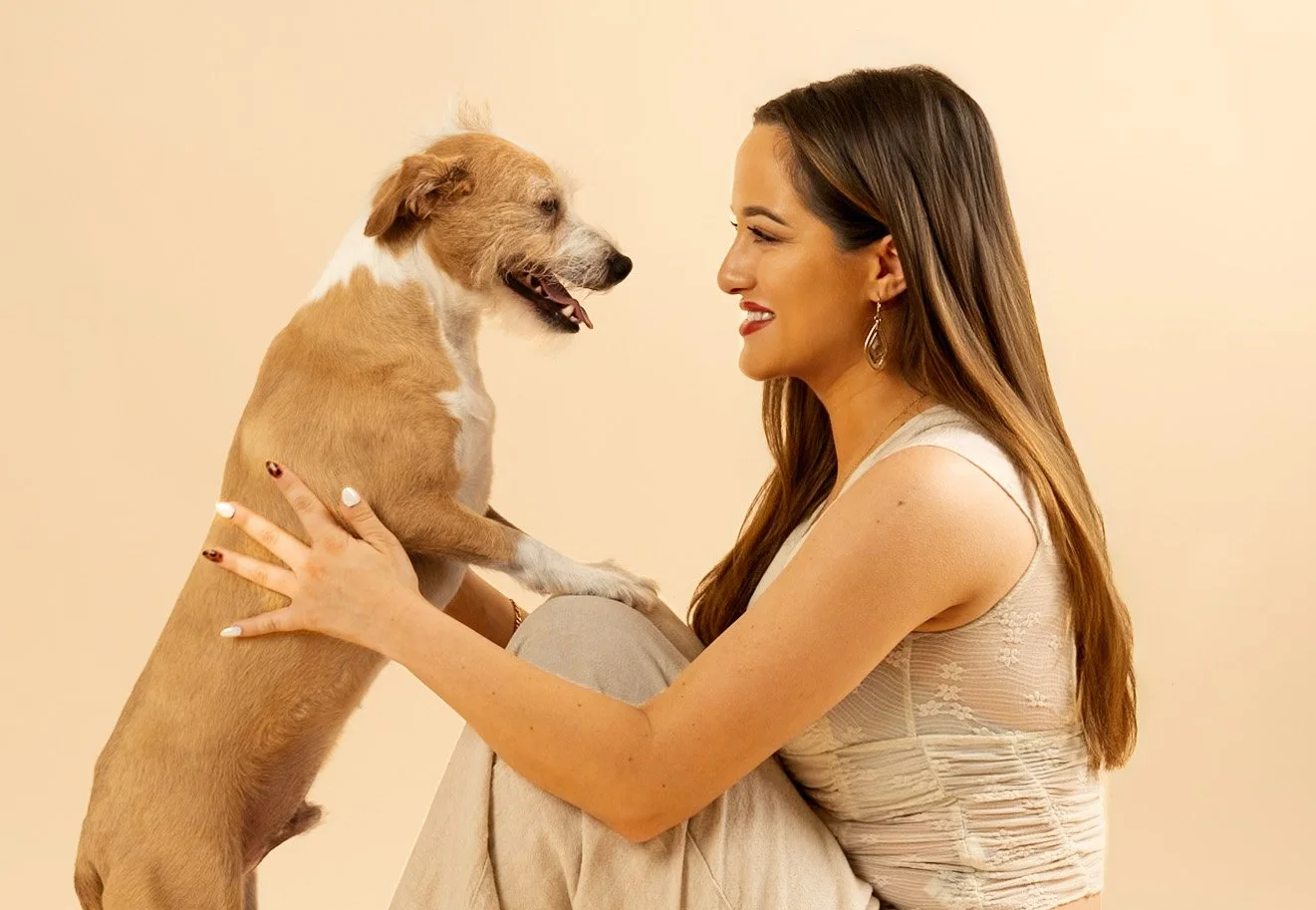 dog-studio-photoshoot.jpg