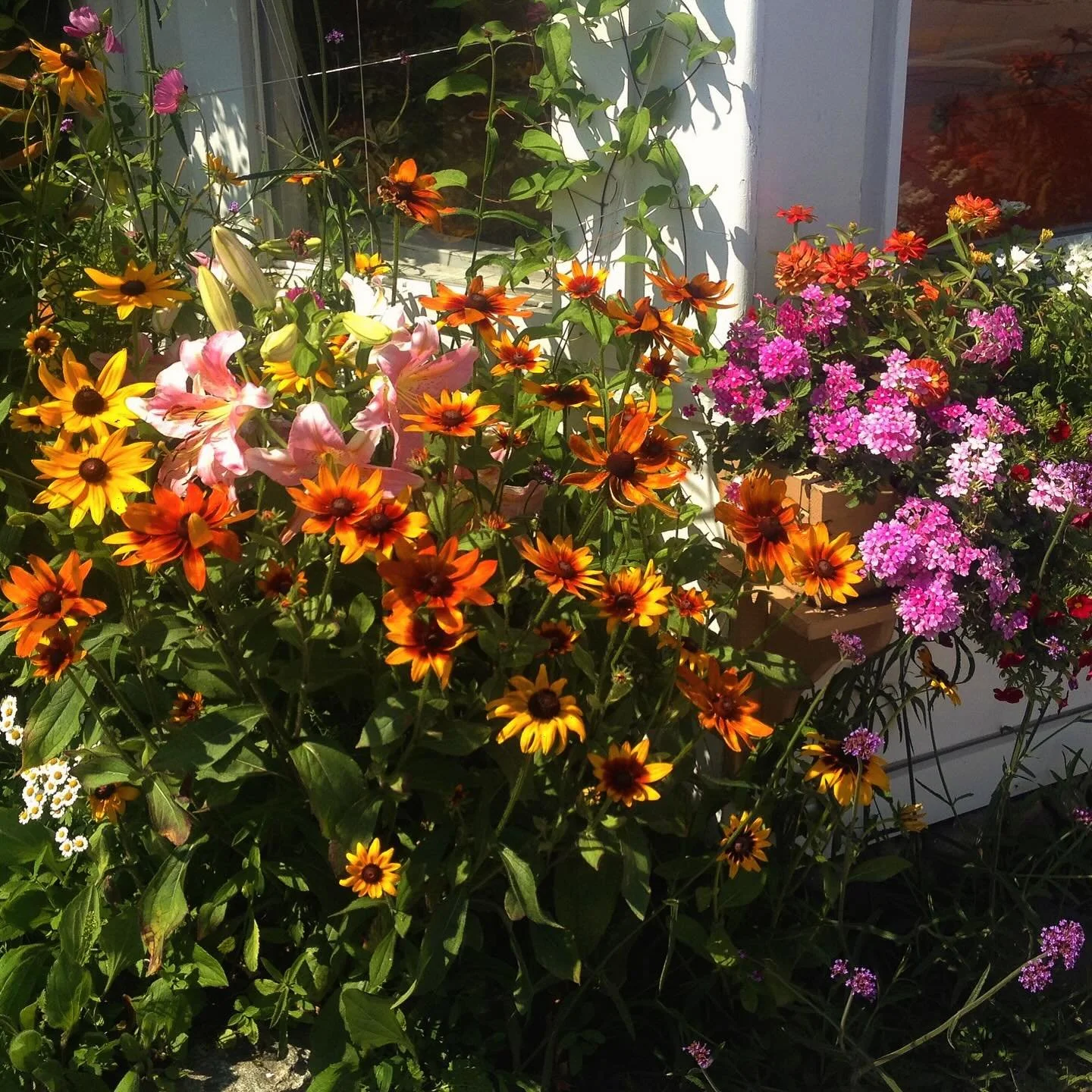 Let&rsquo;s make your garden dreams come true! Whether you&rsquo;re a local business looking to spruce up your flowers boxes &amp; pots OR looking for a garden clean up/planting job, we&rsquo;re here to help! We can make you an edible flower garden, 