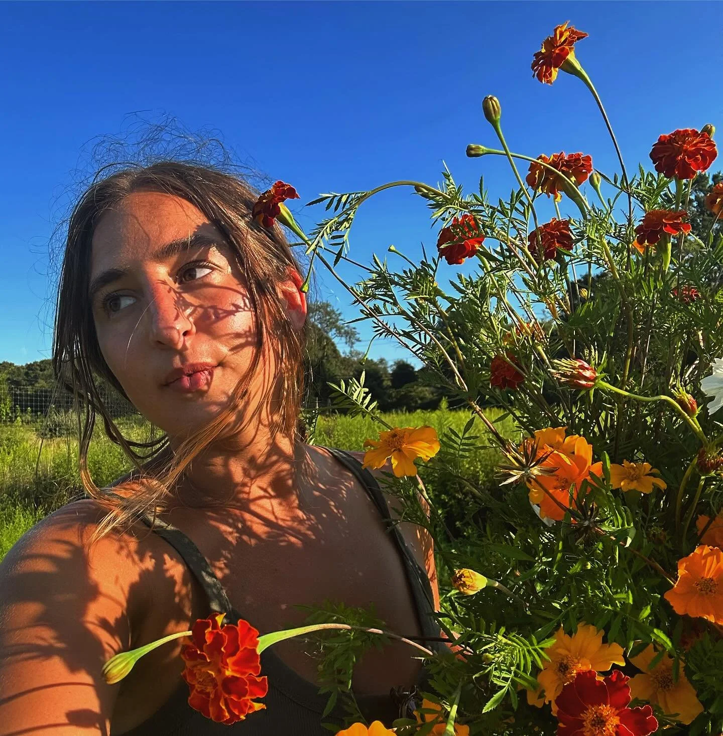 FOR THE LOVE OF MARIGOLDS 🧡🧡🧡🧡 hi! it&rsquo;s me sarah, stopping in to let ya know we are still offering spots for our new CSA! we wanted to offer one this year that is not only more affordable but also showcases the true magic of marigolds! the 