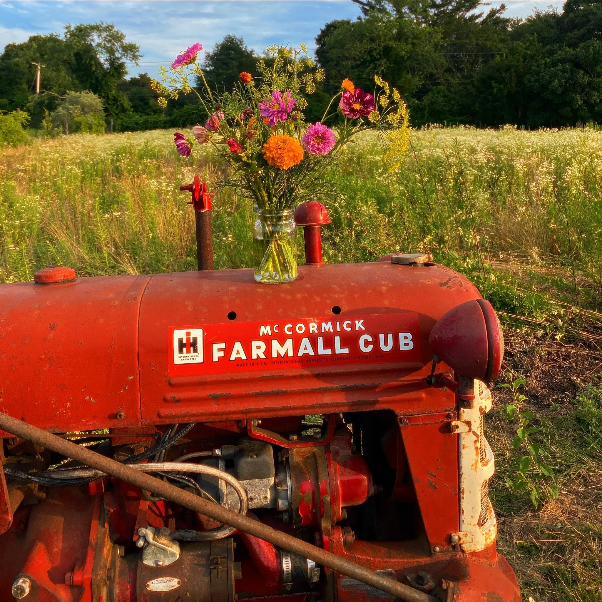 ya know that saying&hellip;. april showers, bring may flowers &mdash; happy may! 🌱❤️&zwj;🔥✨ #marigoldrhode #farmall #farmallcub #flowerfarming #flowerfarmer #rhodeisland #flowersbythesea #rifarms #sustainablefarming