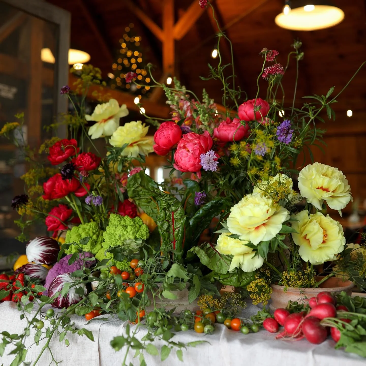 We have some exciting news about the future of our flower farming! Myself and Jill @wildseasonflorals are joining the @sweetberryfarmri team!!! 

Welcome, Sweet Berry Flowers! 🌸🍓🐦&zwj;⬛ 

We are helping expand their flower growing and floral desig
