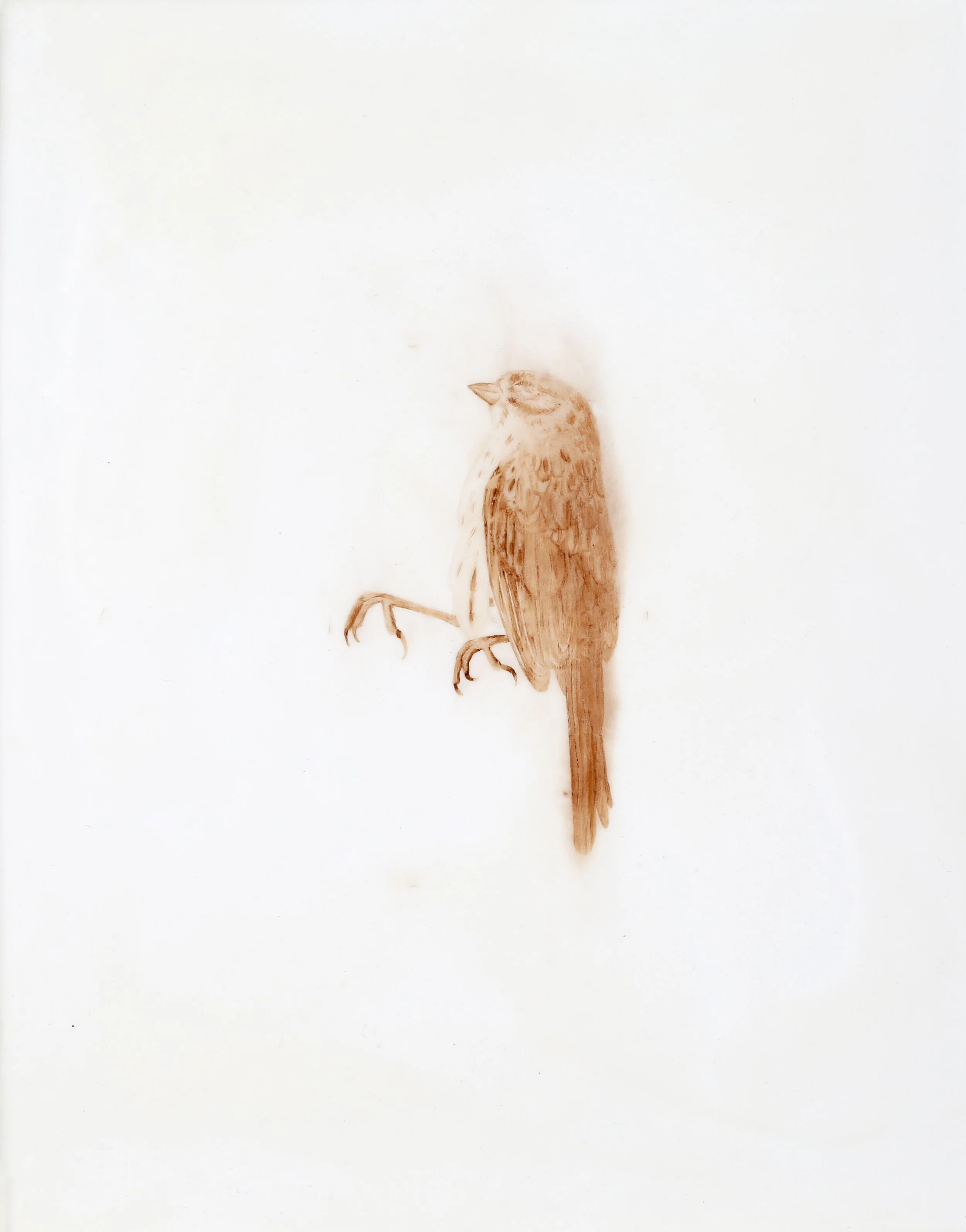 We Have No Death Ritual, Only Waiting I, 2026. Iron oxide pigment, encaustic, oil on panel, 11 x 14 inches