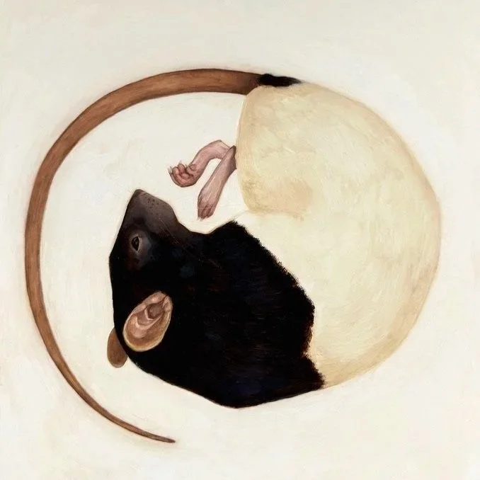 Untitled, 2025, Oil on panel, 12 x 12 inches