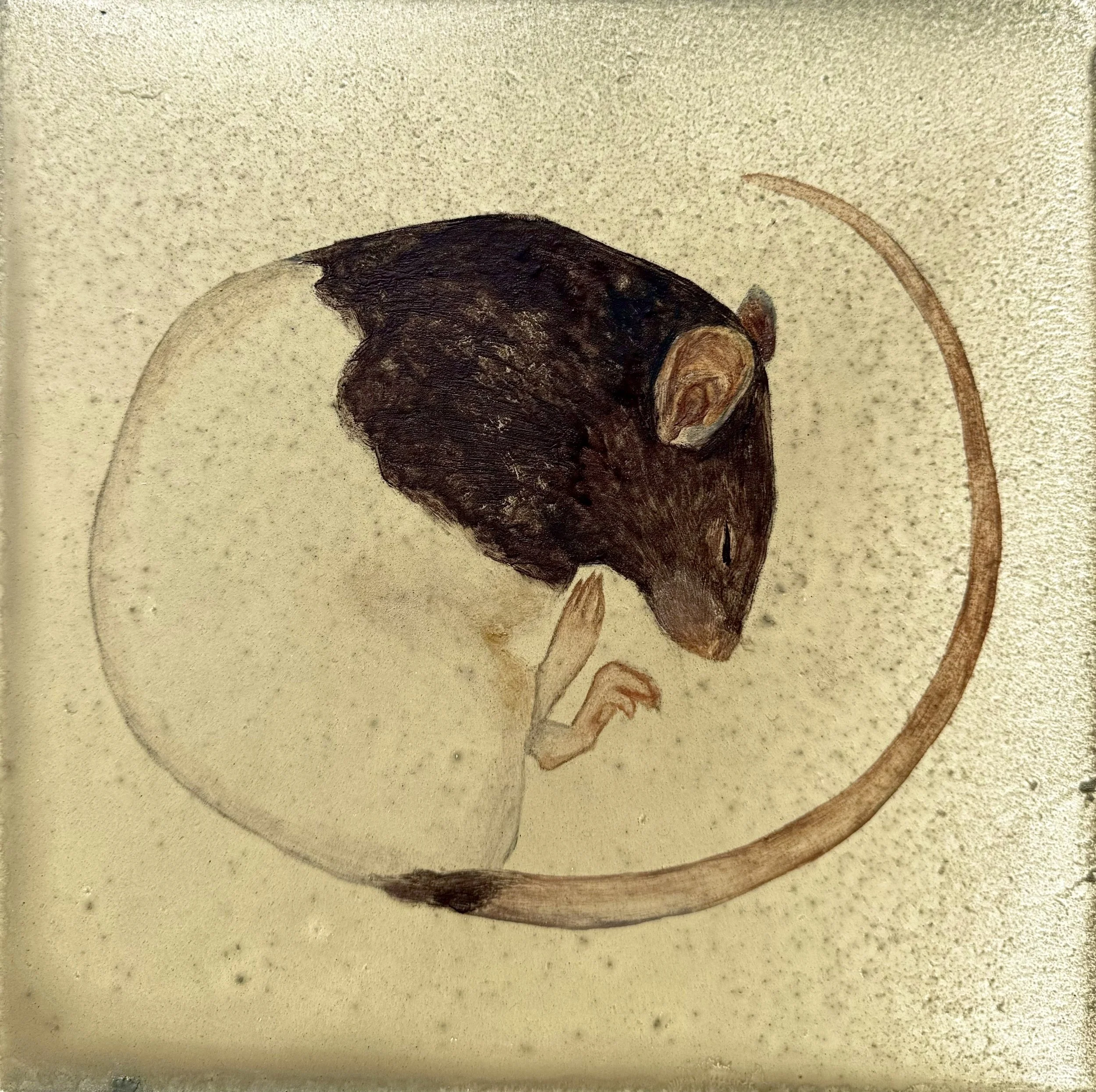 Utero II, 2026, Natural pigments, oil on panel, 10 x 10 inches