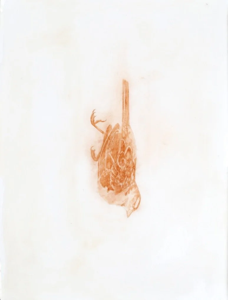 We Have No Death Ritual, Only Waiting IV, 2026. Iron oxide pigment, encaustic, oil on panel, 12 x 16 inches