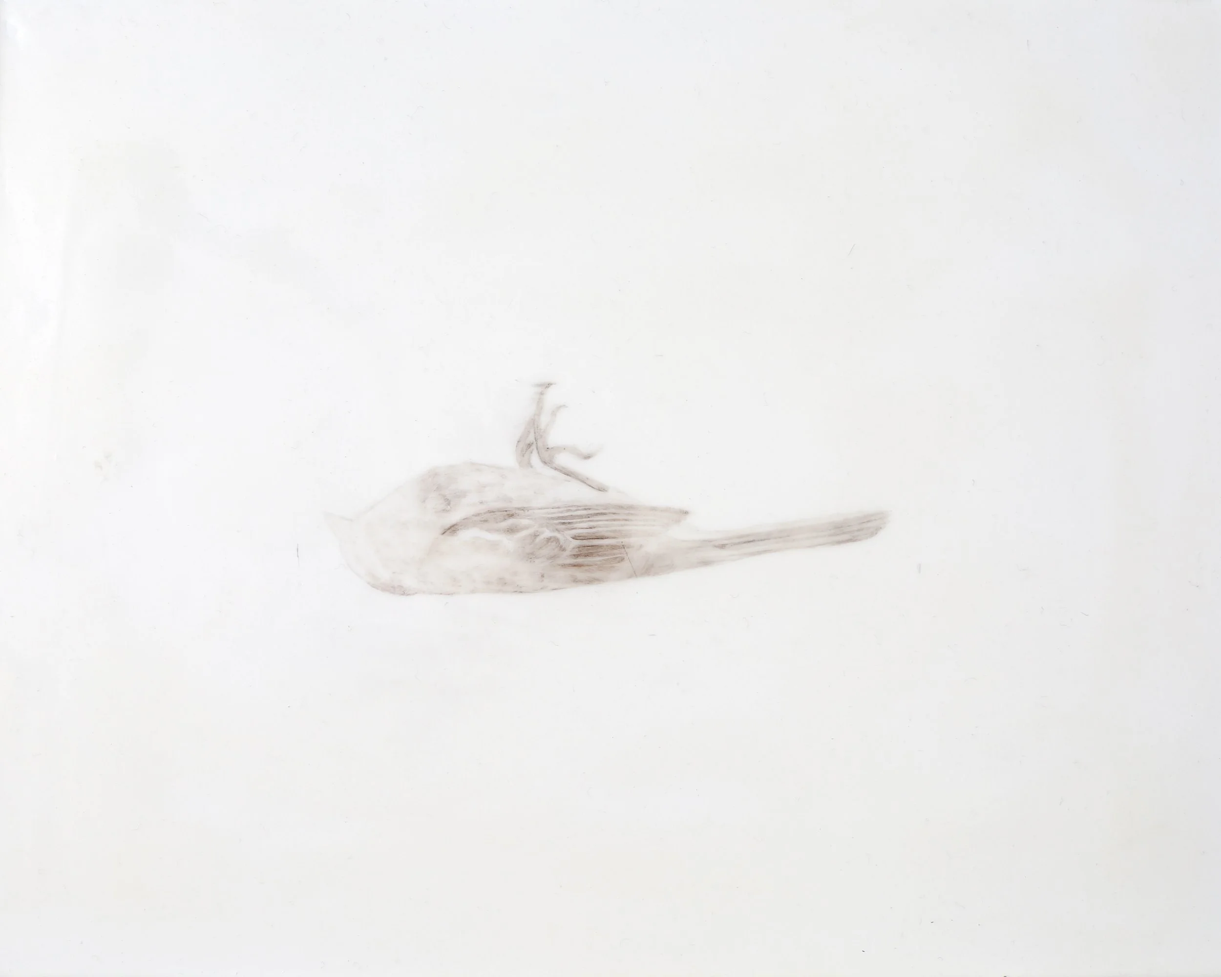 We Have No Death Ritual, Only Waiting XV, 2026. Carbon pigment, encaustic, oil on panel, 14 x 11 inches