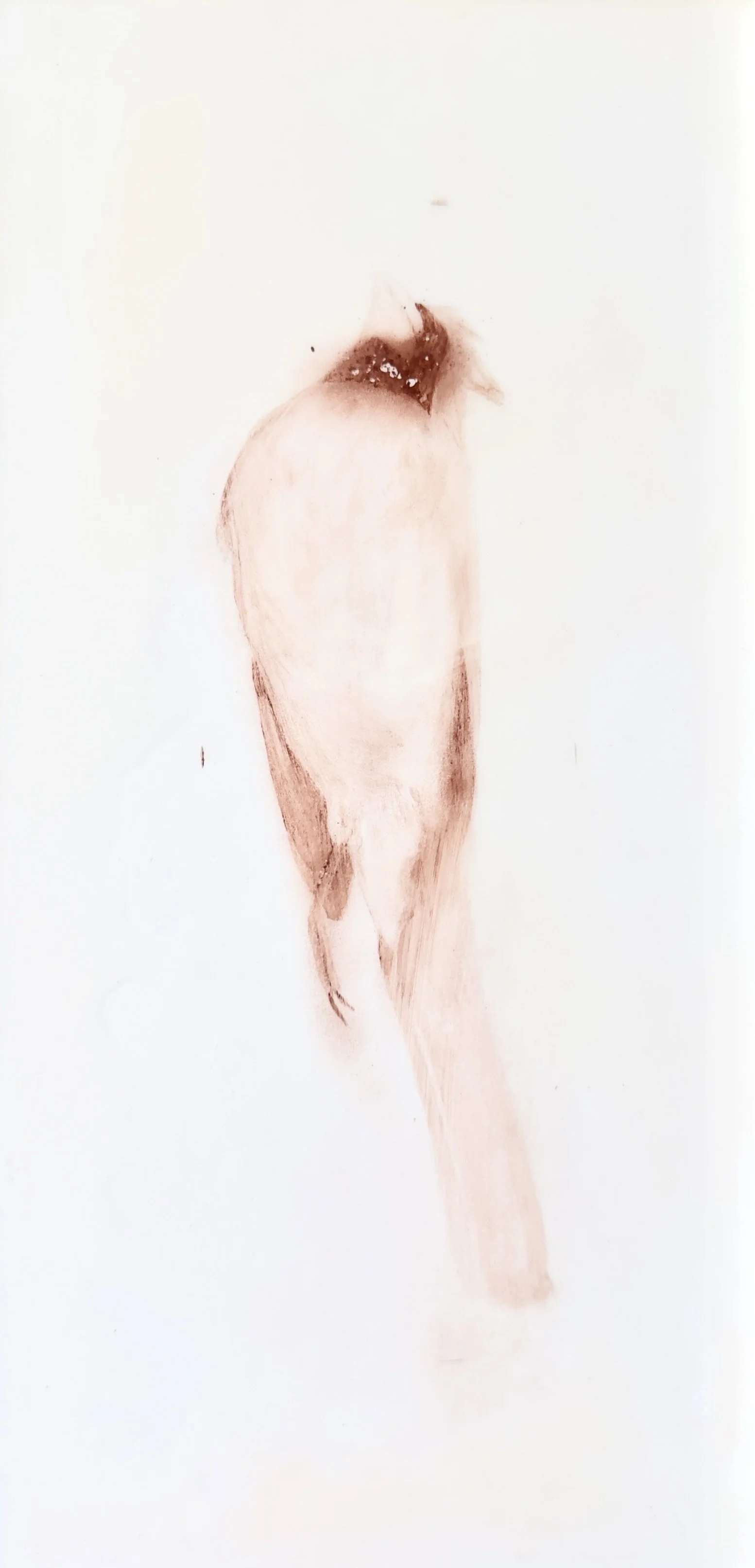 We Have No Death Ritual, Only Waiting IX, 2026, Iron oxide pigment, encaustic, oil on panel, 6 x 12 inches