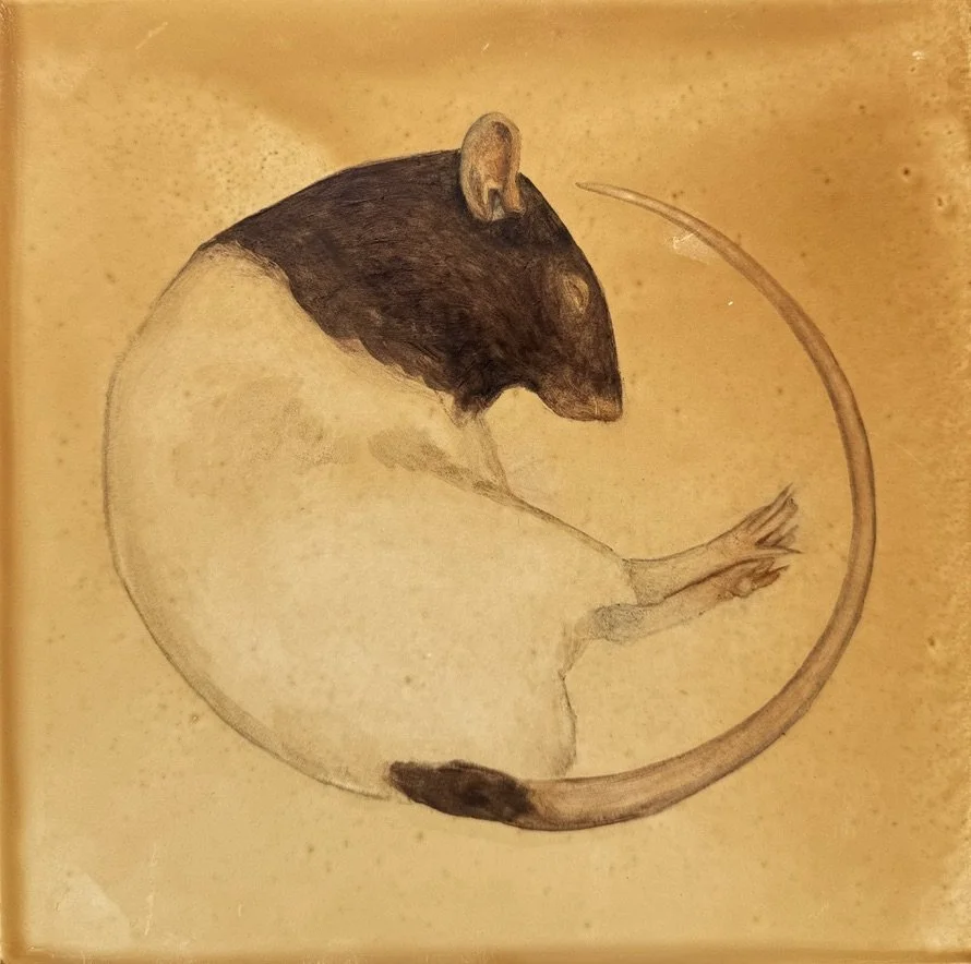 Utero II, 2026, Natural pigments, oil on panel, 10 x 10 inches