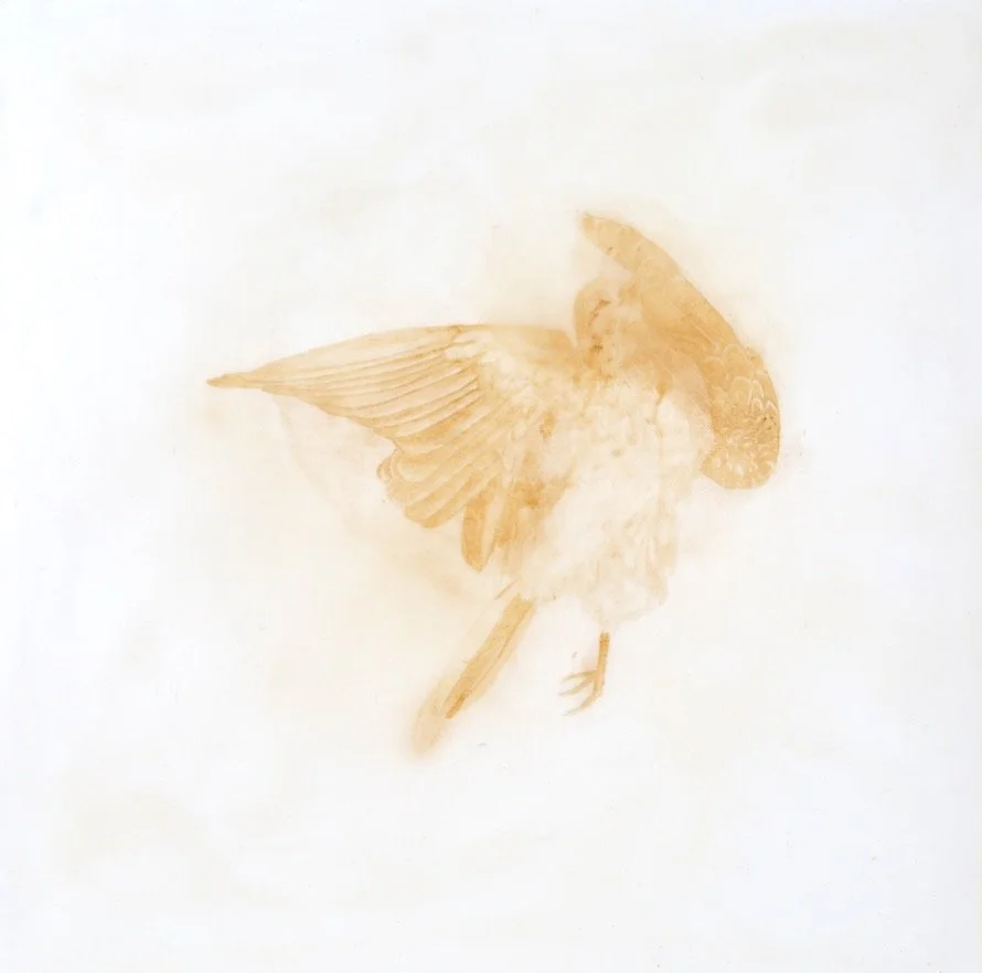 We Have No Death Ritual, Only Waiting VI, 2026. Iron oxide pigment, encaustic, oil on panel, 16 x 16 inches