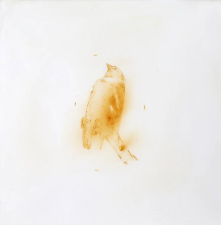 We Have No Death Ritual, Only Waiting XIV, 2026. Iron oxide pigment, encaustic, oil on panel, 10 x 10 inches