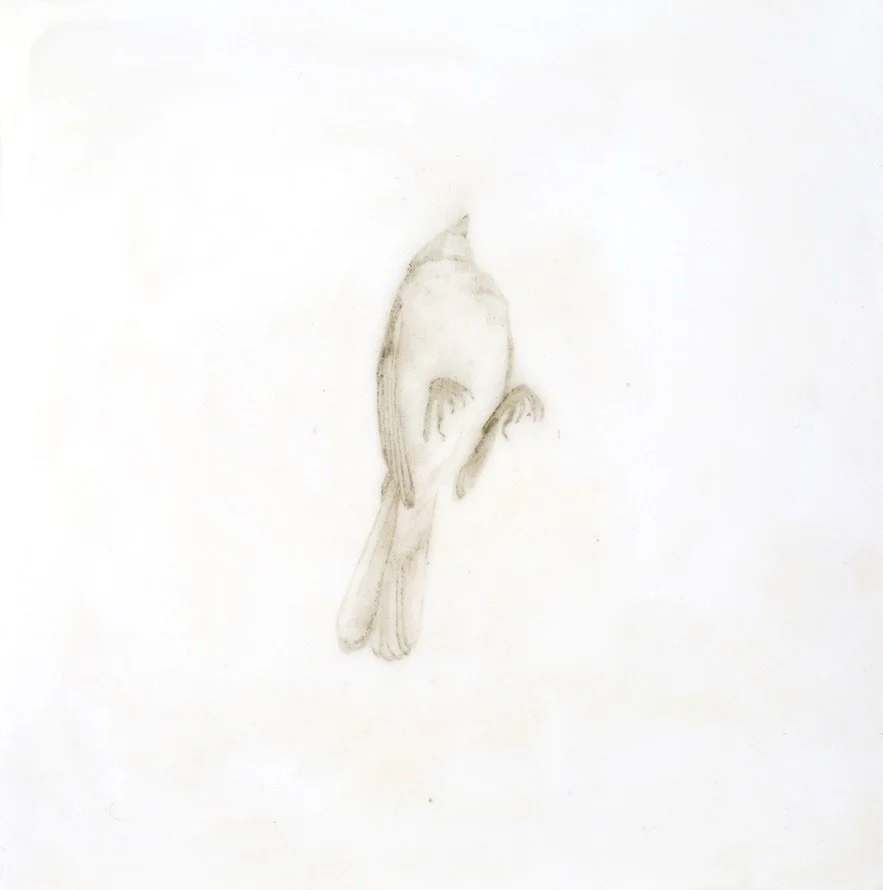 We Have No Death Ritual, Only Waiting XI, 2026. Slate pigment, encaustic, oil on panel, 12 x 12 inches