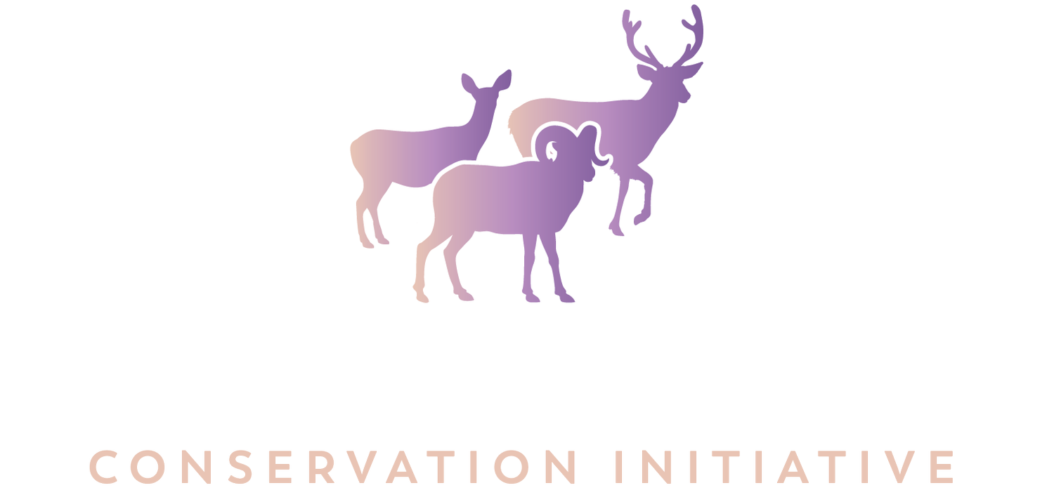 Wintering Wildlife Conservation Initiative