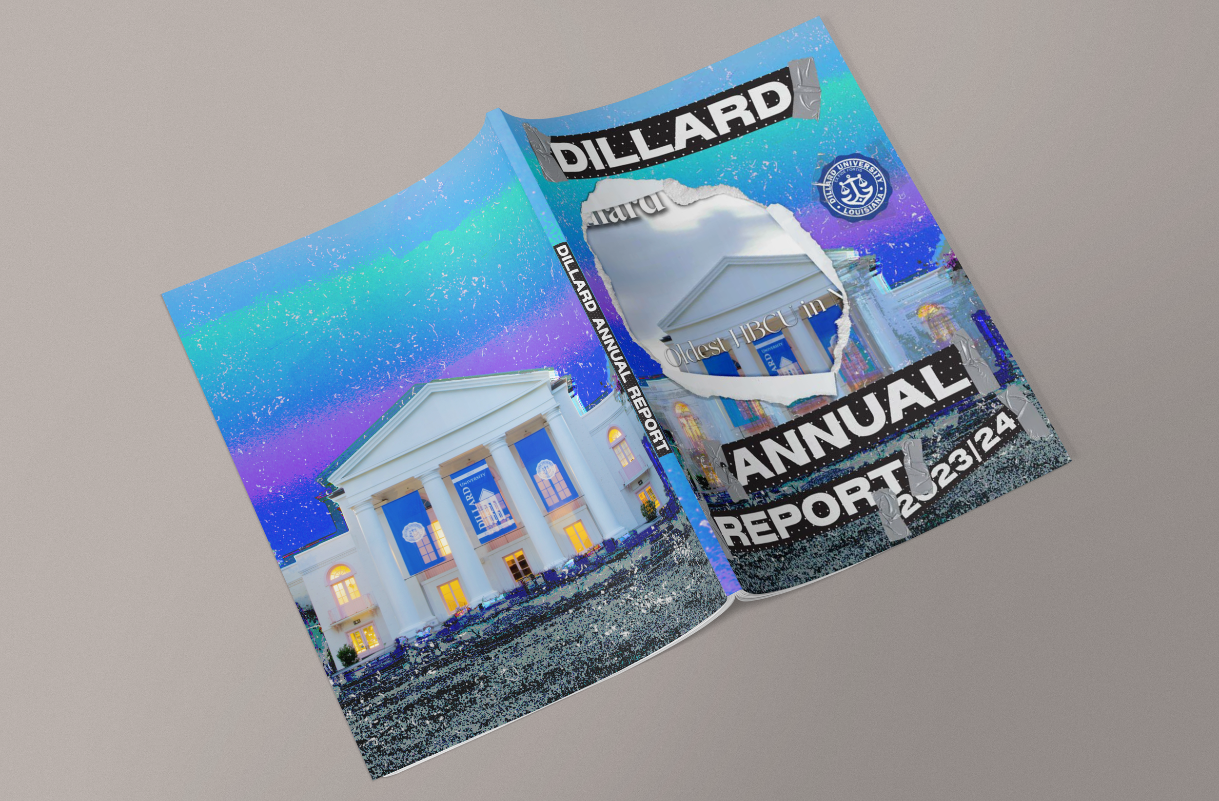 DU Annual Report
