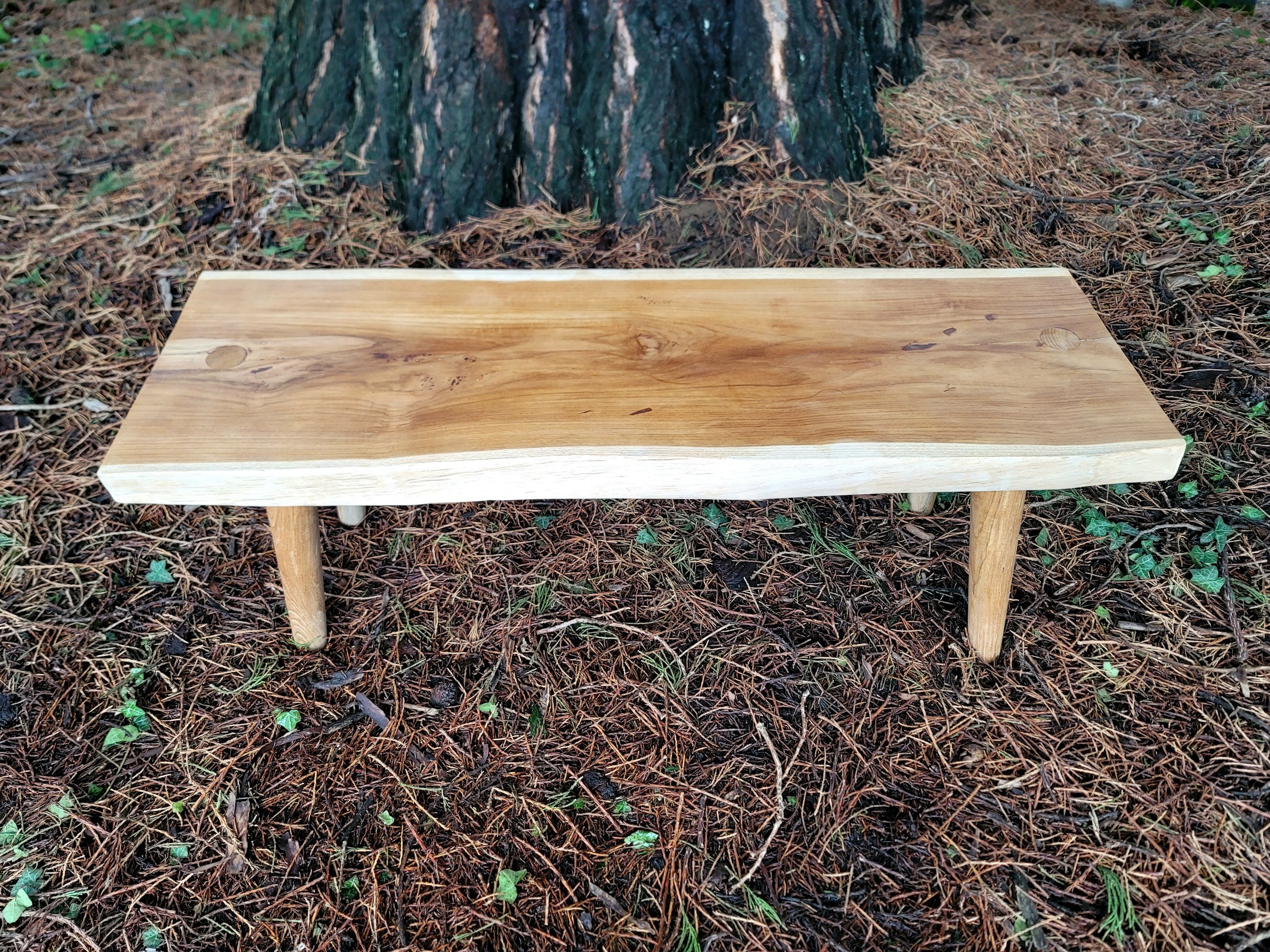 Teak Slab Memorial Bench Natural Burial Vessels