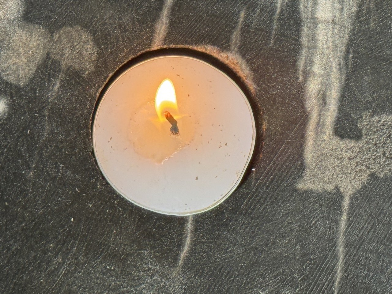 Remembrance Petrified Wood Candle Holder Natural Burial Vessels