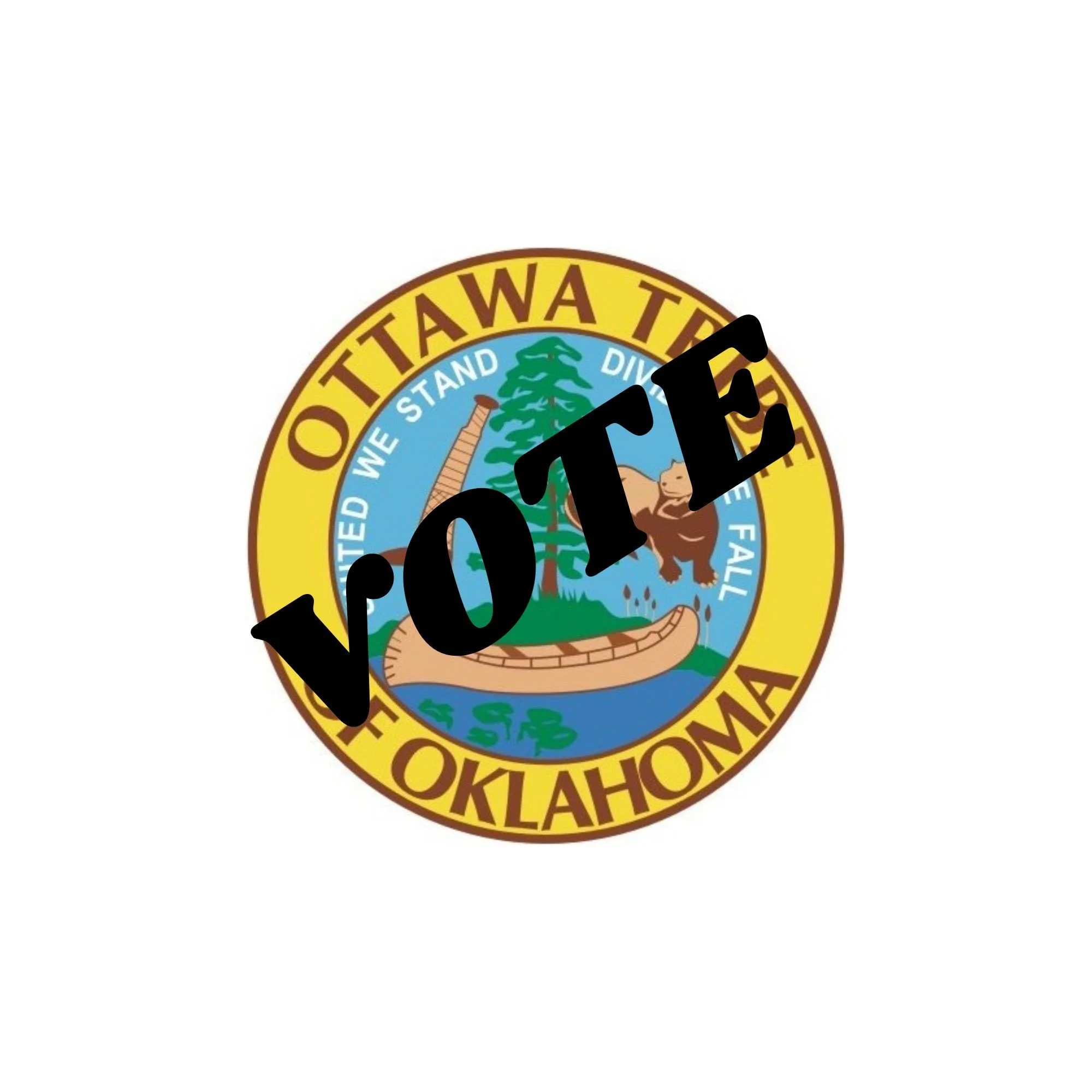 SPECIAL ELECTION FOR SECOND CHIEF (click here)
