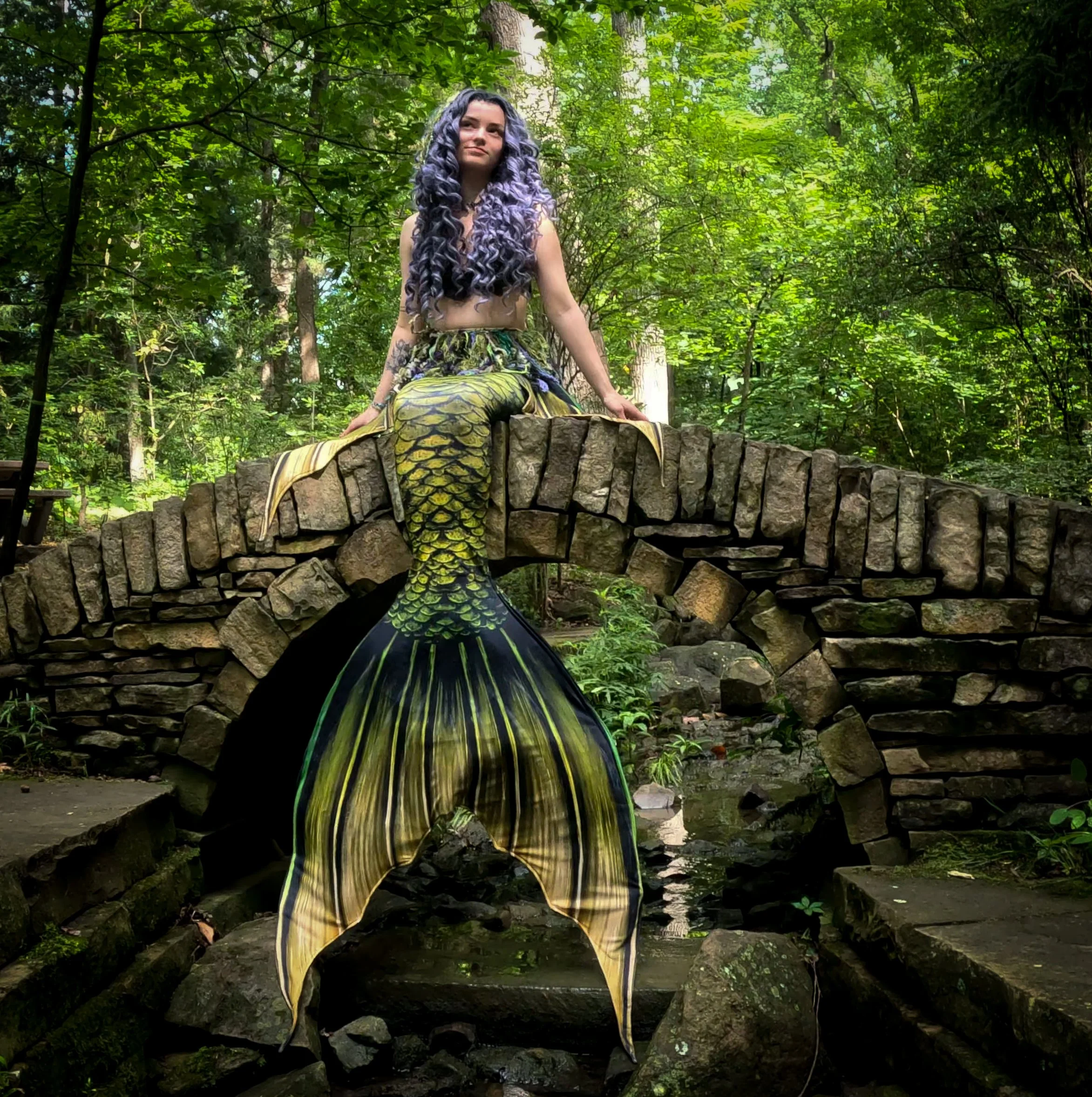 GPTempDownload (1).JPG